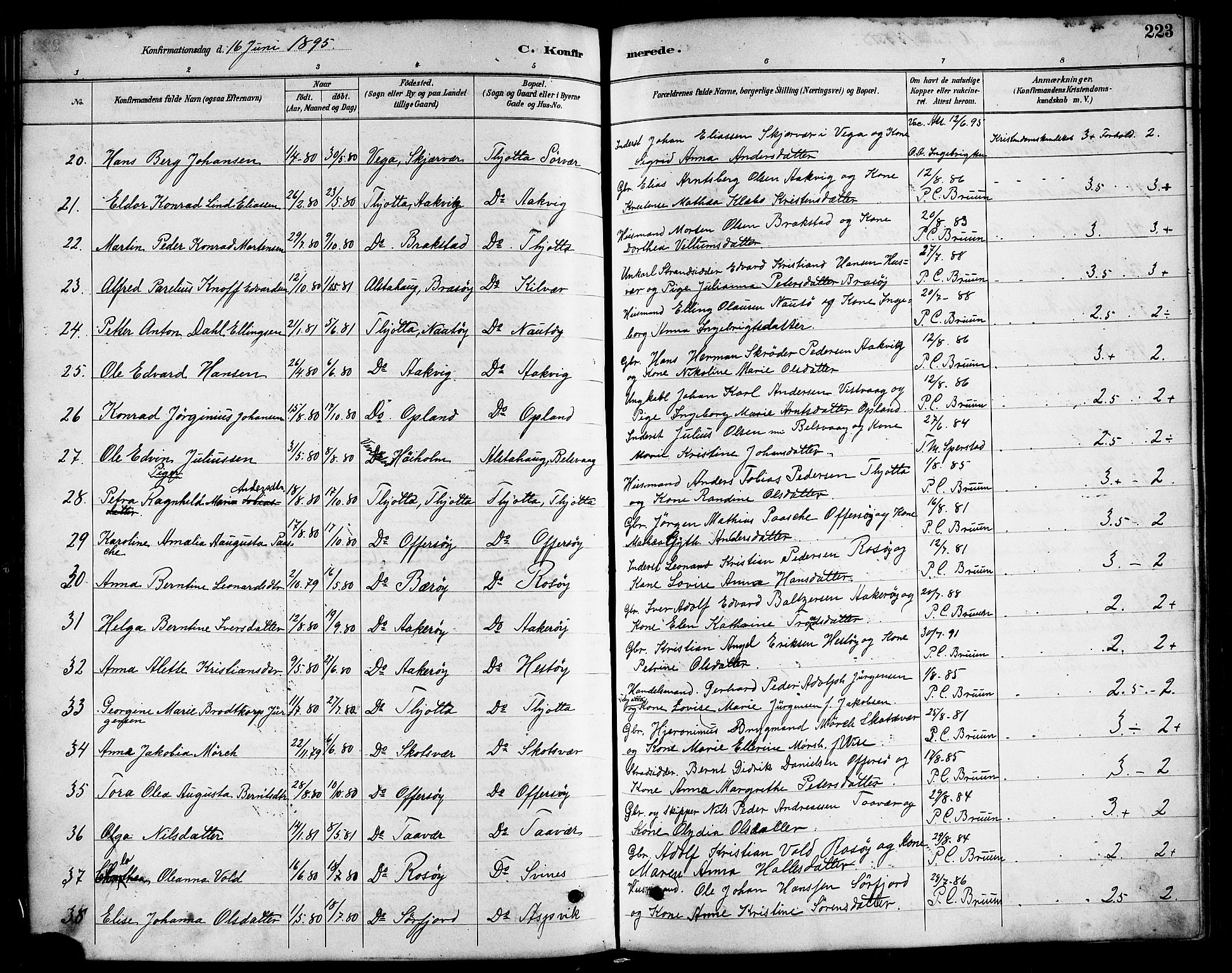 Ministerialprotokoller, klokkerbøker og fødselsregistre - Nordland, AV/SAT-A-1459/817/L0268: Parish register (copy) no. 817C03, 1884-1920, p. 223