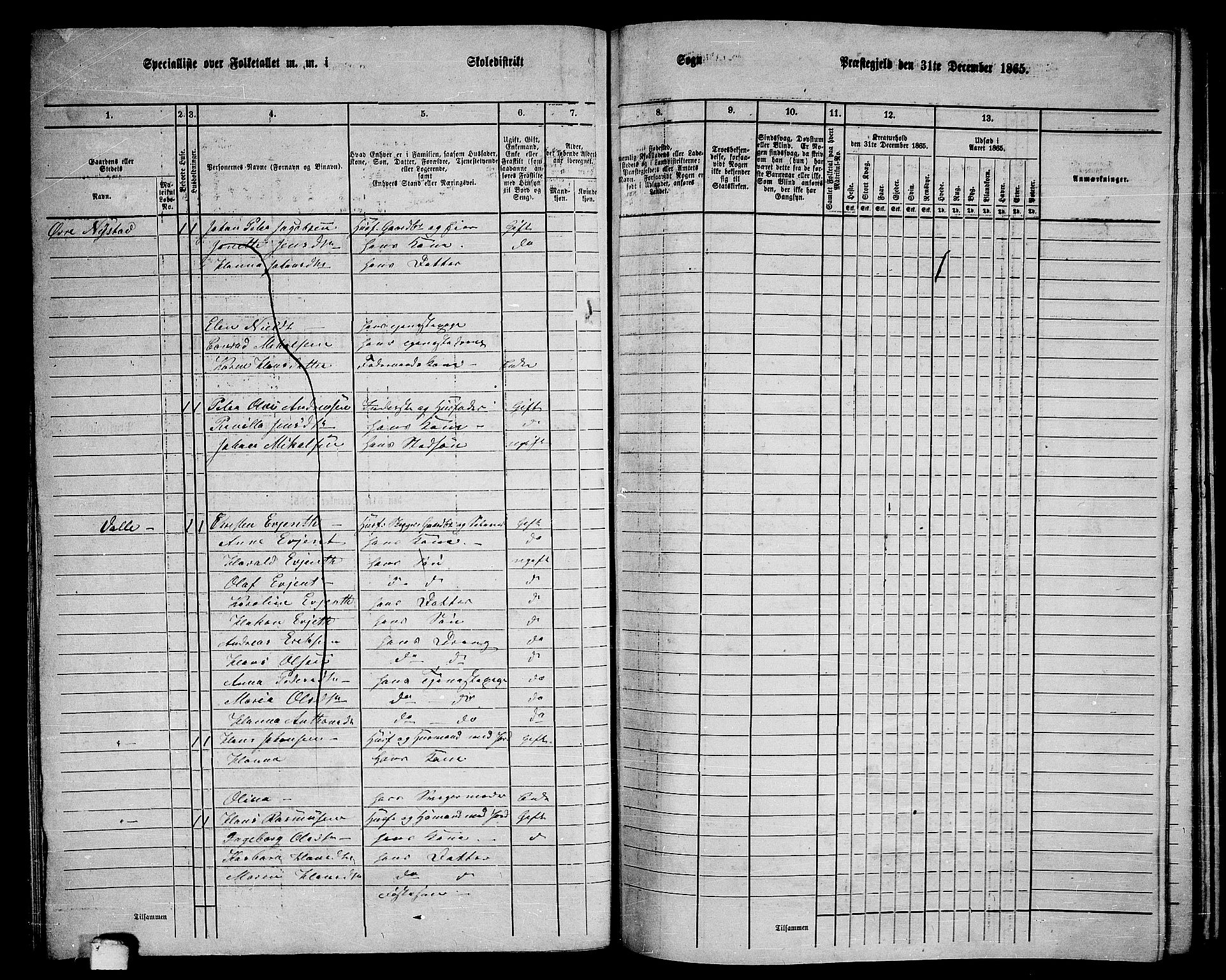 RA, 1865 census for Bodø/Bodø, 1865, p. 65