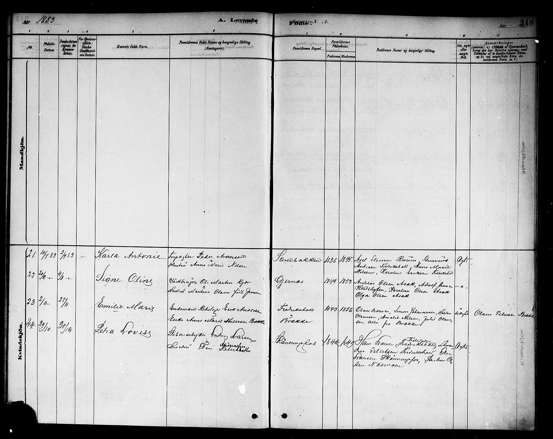 Berg prestekontor Kirkebøker, AV/SAO-A-10902/F/Fb/L0001: Parish register (official) no. II 1, 1878-1887, p. 348