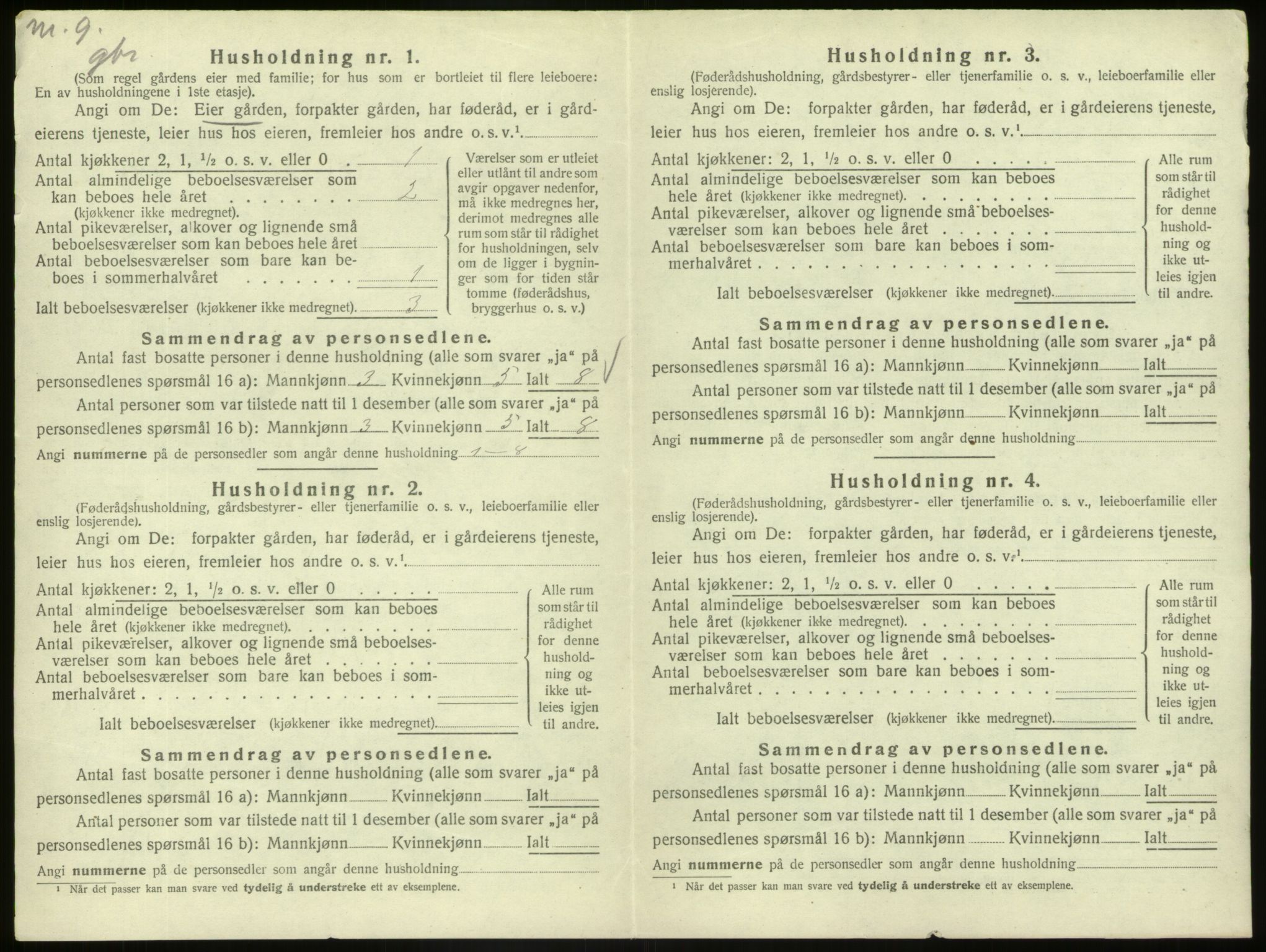 SAB, 1920 census for Hafslo, 1920, p. 160