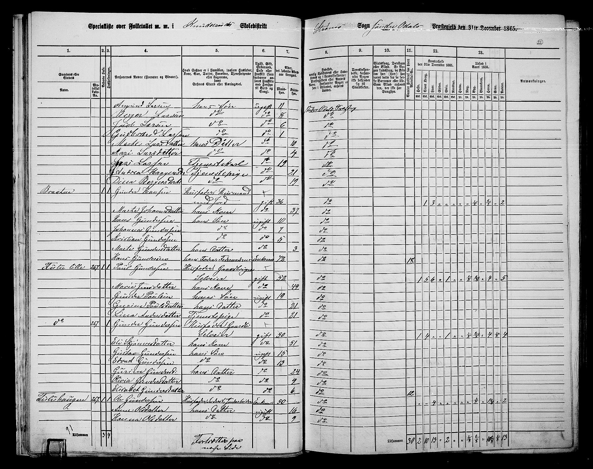 RA, 1865 census for Sør-Odal, 1865, p. 20