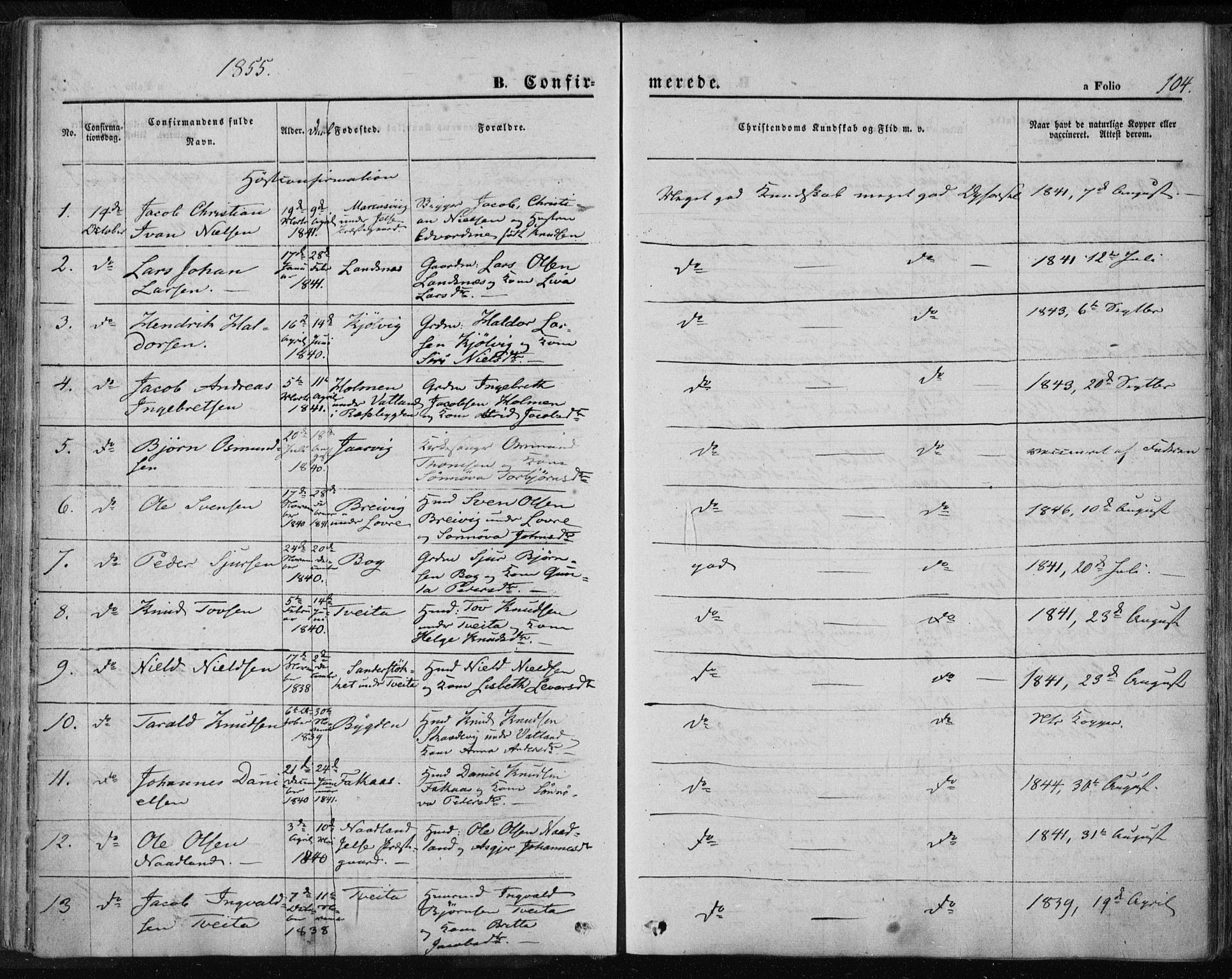 Jelsa sokneprestkontor, SAST/A-101842/01/IV: Parish register (official) no. A 7, 1854-1866, p. 104