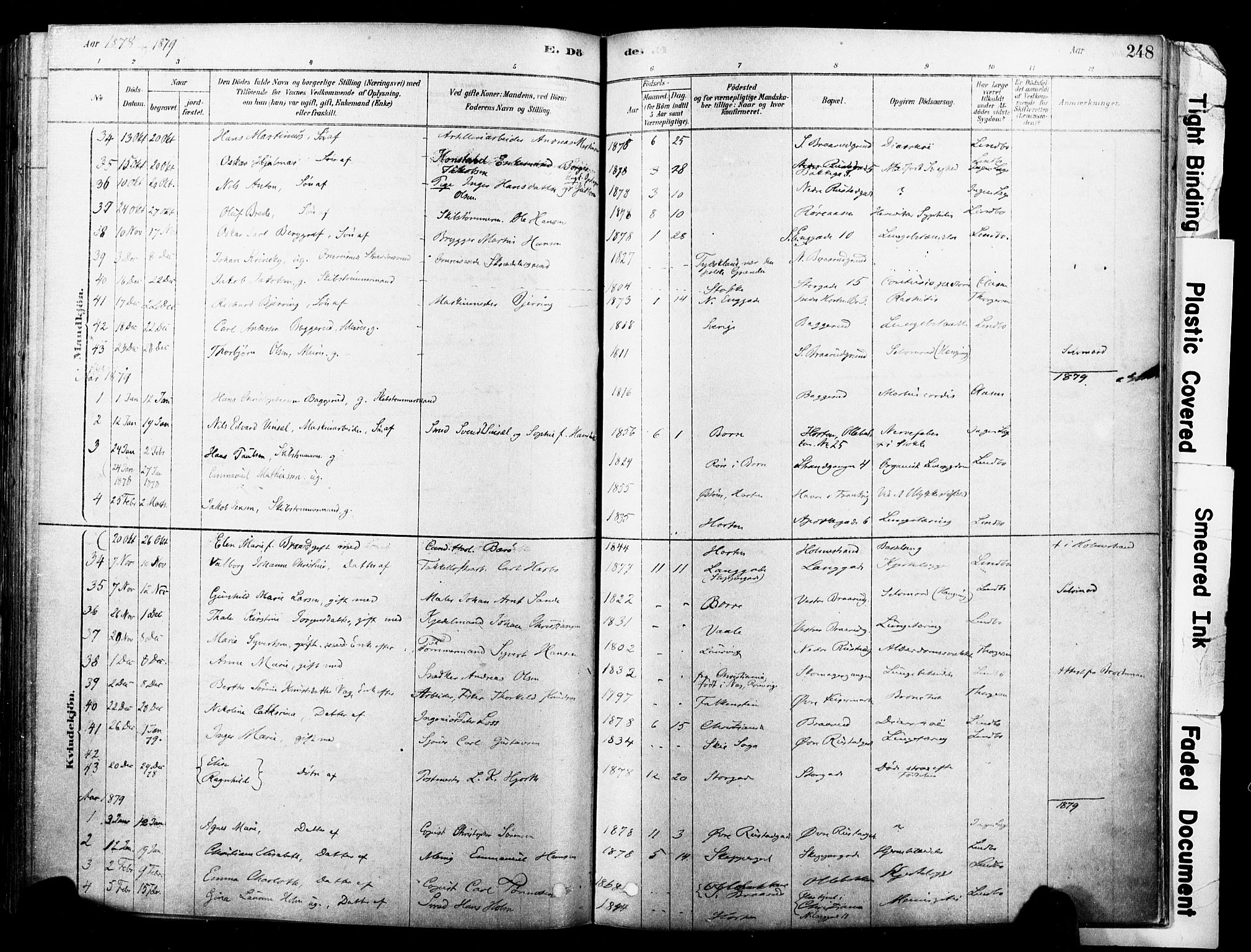 Horten kirkebøker, AV/SAKO-A-348/F/Fa/L0003: Parish register (official) no. 3, 1878-1887, p. 248