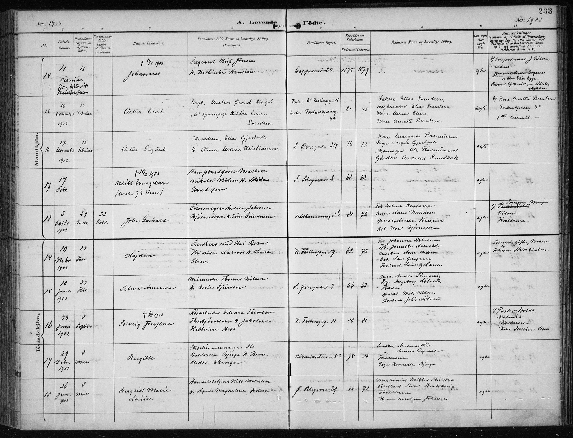 Korskirken sokneprestembete, AV/SAB-A-76101/H/Hab: Parish register (copy) no. B 10, 1896-1905, p. 233