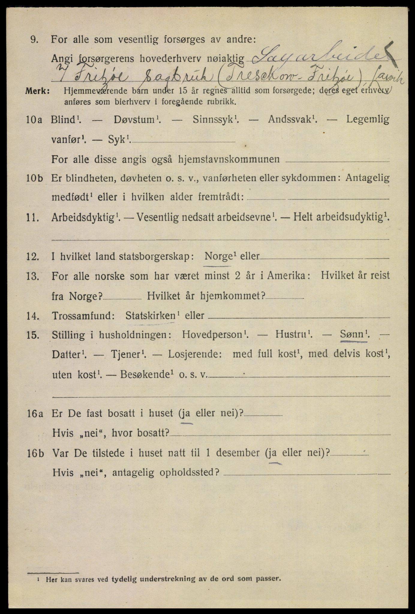 SAKO, 1920 census for Larvik, 1920, p. 13017