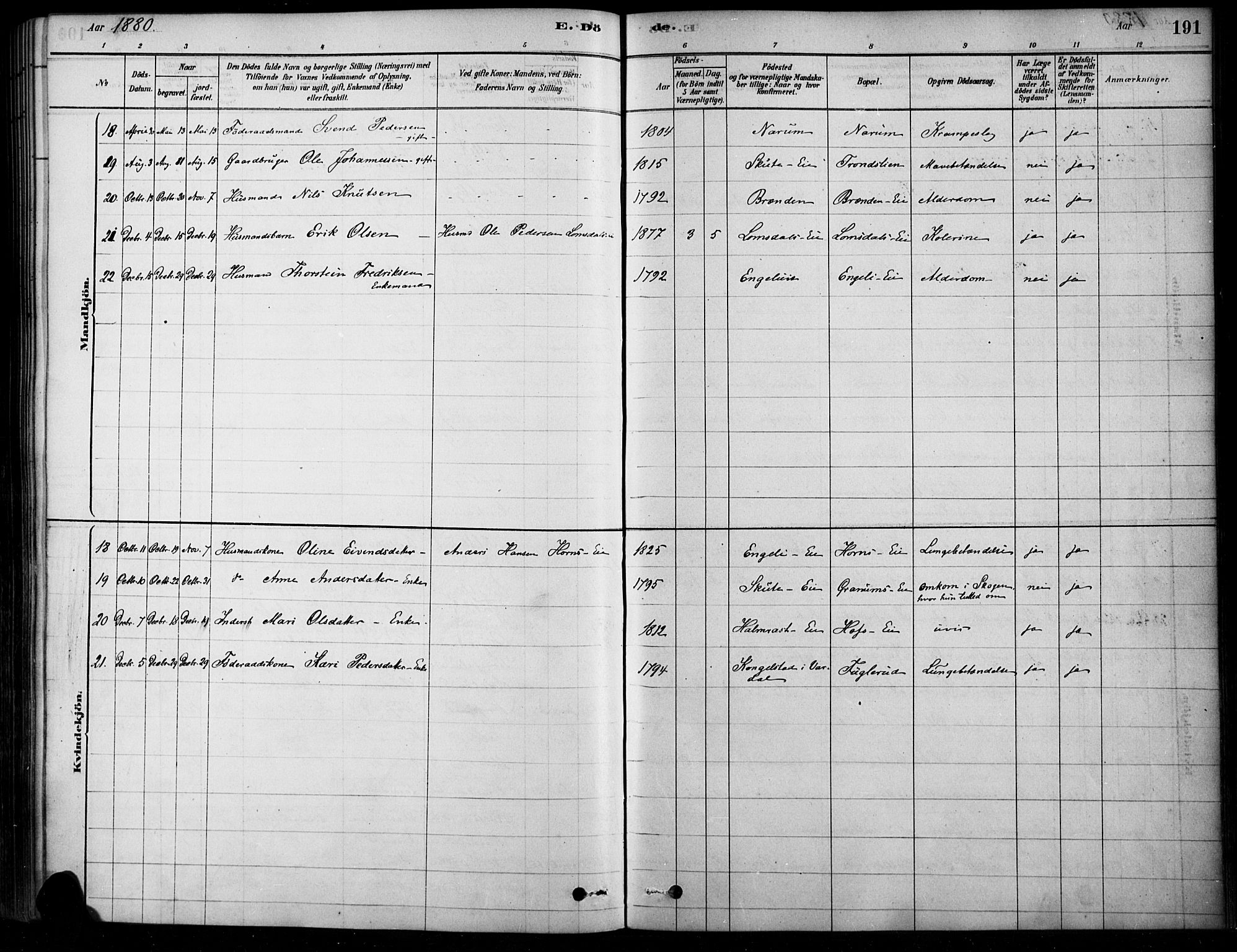 Søndre Land prestekontor, SAH/PREST-122/K/L0003: Parish register (official) no. 3, 1878-1894, p. 191