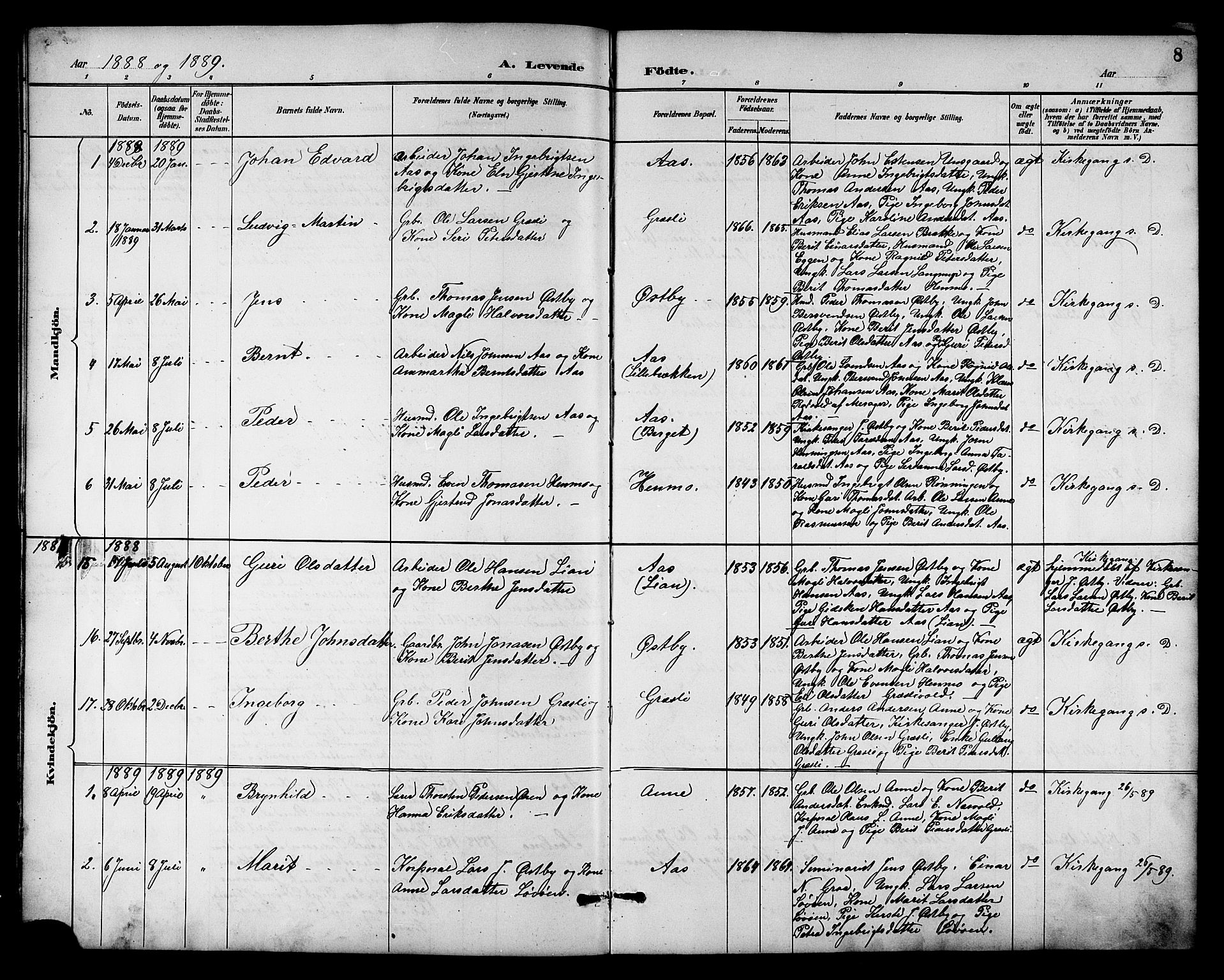 Ministerialprotokoller, klokkerbøker og fødselsregistre - Sør-Trøndelag, AV/SAT-A-1456/698/L1167: Parish register (copy) no. 698C04, 1888-1907, p. 8