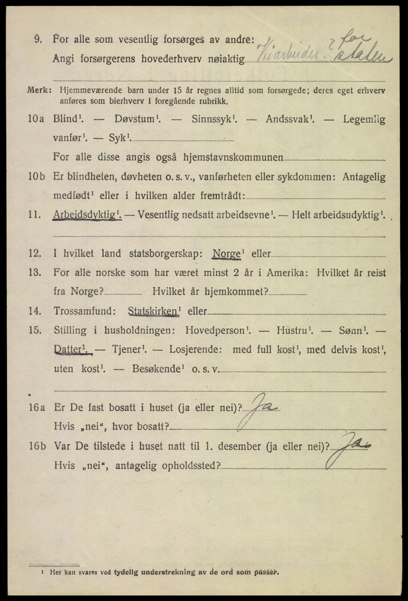 SAH, 1920 census for Skjåk, 1920, p. 4271