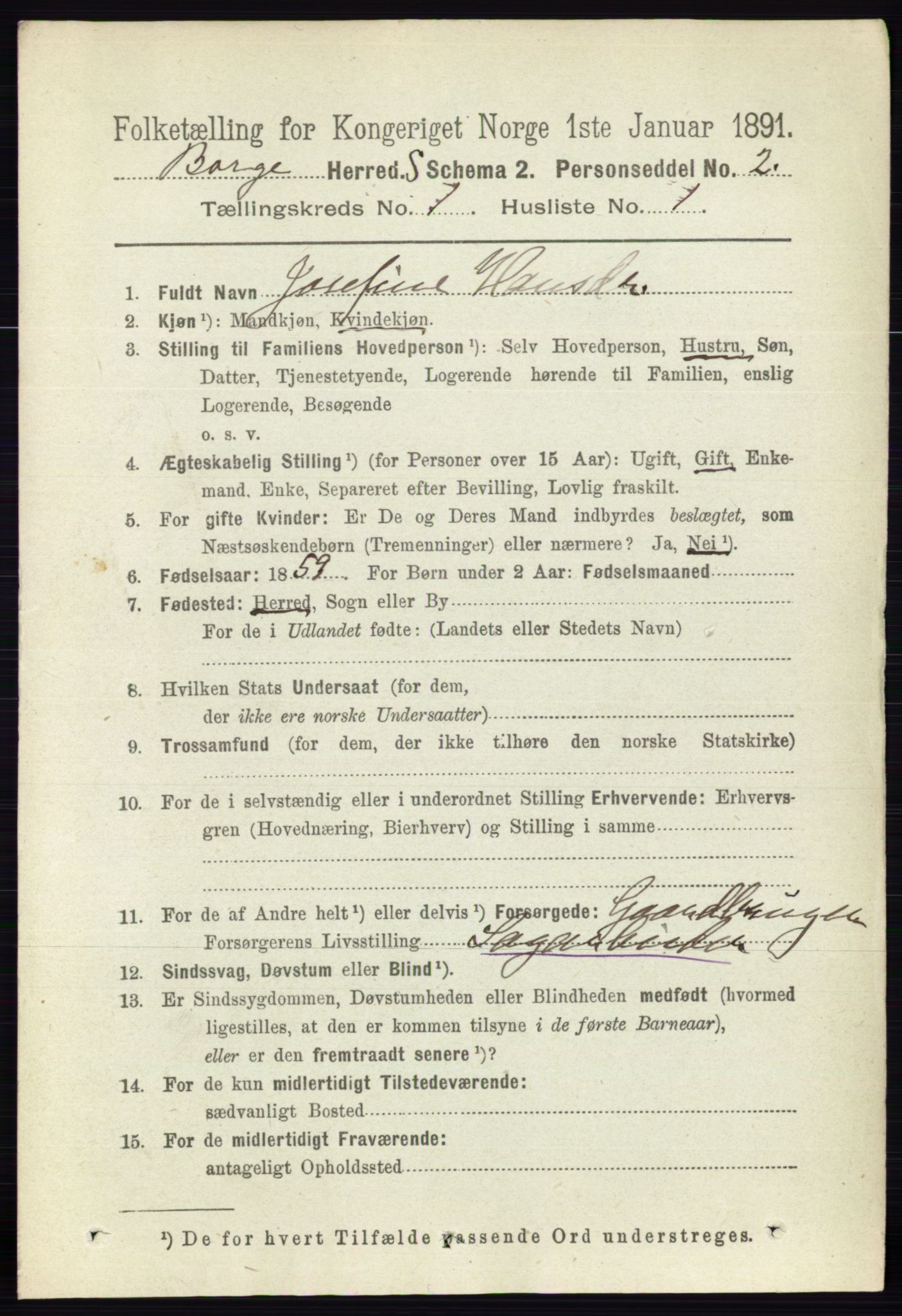 RA, 1891 census for 0113 Borge, 1891, p. 131