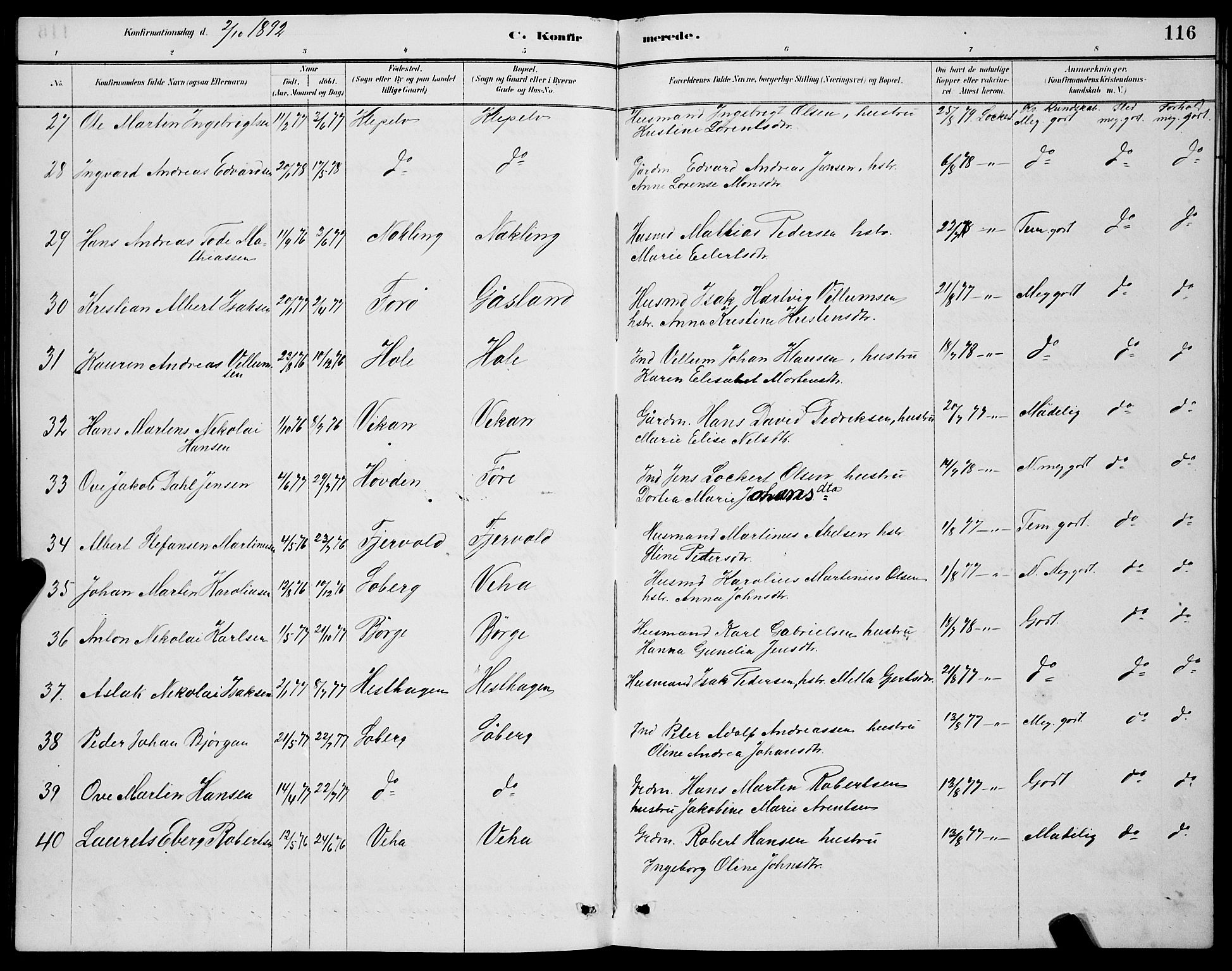 Ministerialprotokoller, klokkerbøker og fødselsregistre - Nordland, AV/SAT-A-1459/891/L1315: Parish register (copy) no. 891C04, 1886-1893, p. 116