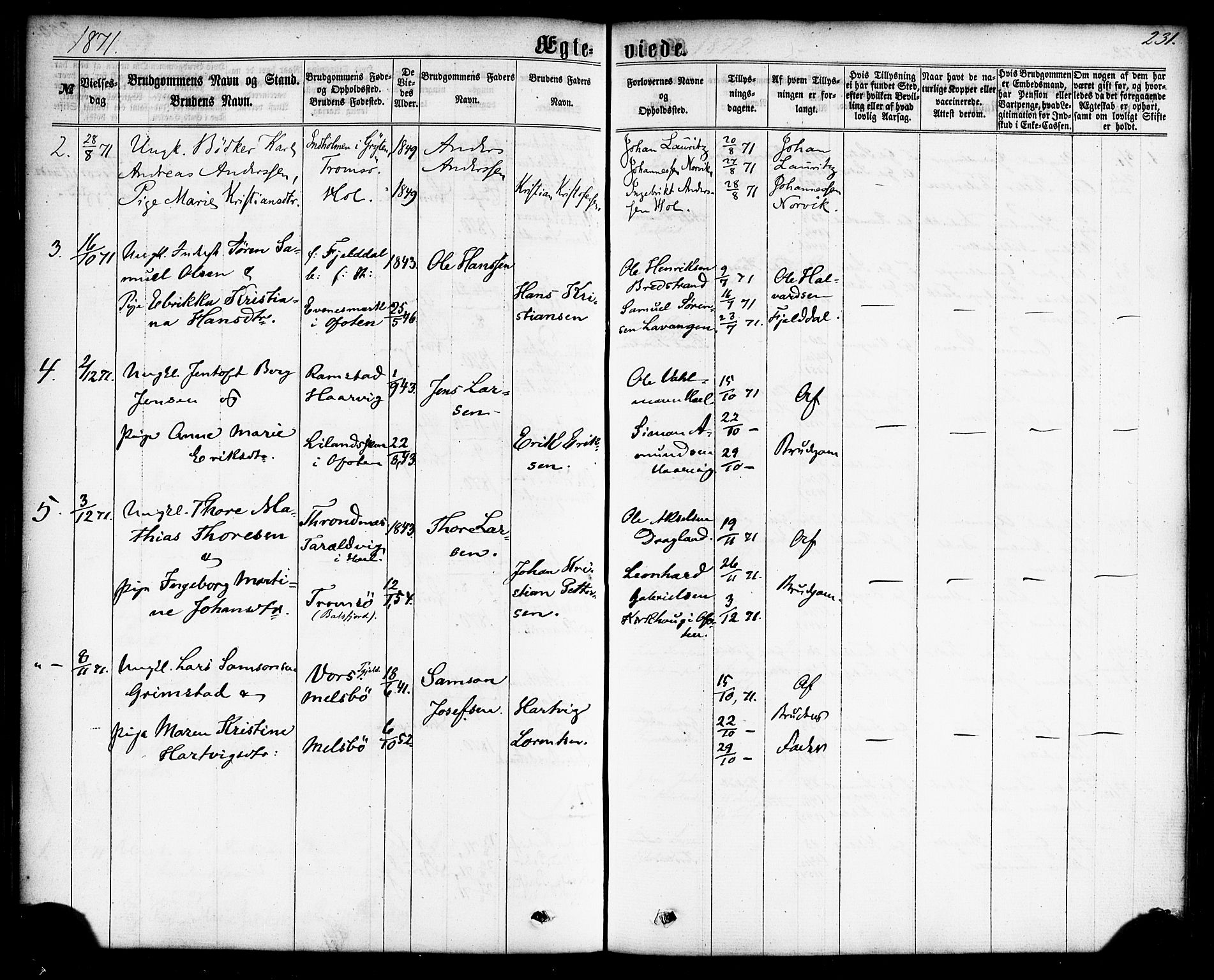 Ministerialprotokoller, klokkerbøker og fødselsregistre - Nordland, AV/SAT-A-1459/865/L0923: Parish register (official) no. 865A01, 1864-1884, p. 231