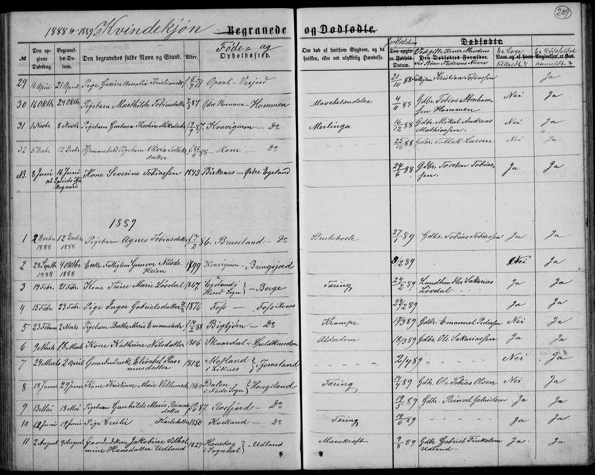 Lyngdal sokneprestkontor, AV/SAK-1111-0029/F/Fb/Fbc/L0004: Parish register (copy) no. B 4, 1878-1896, p. 209