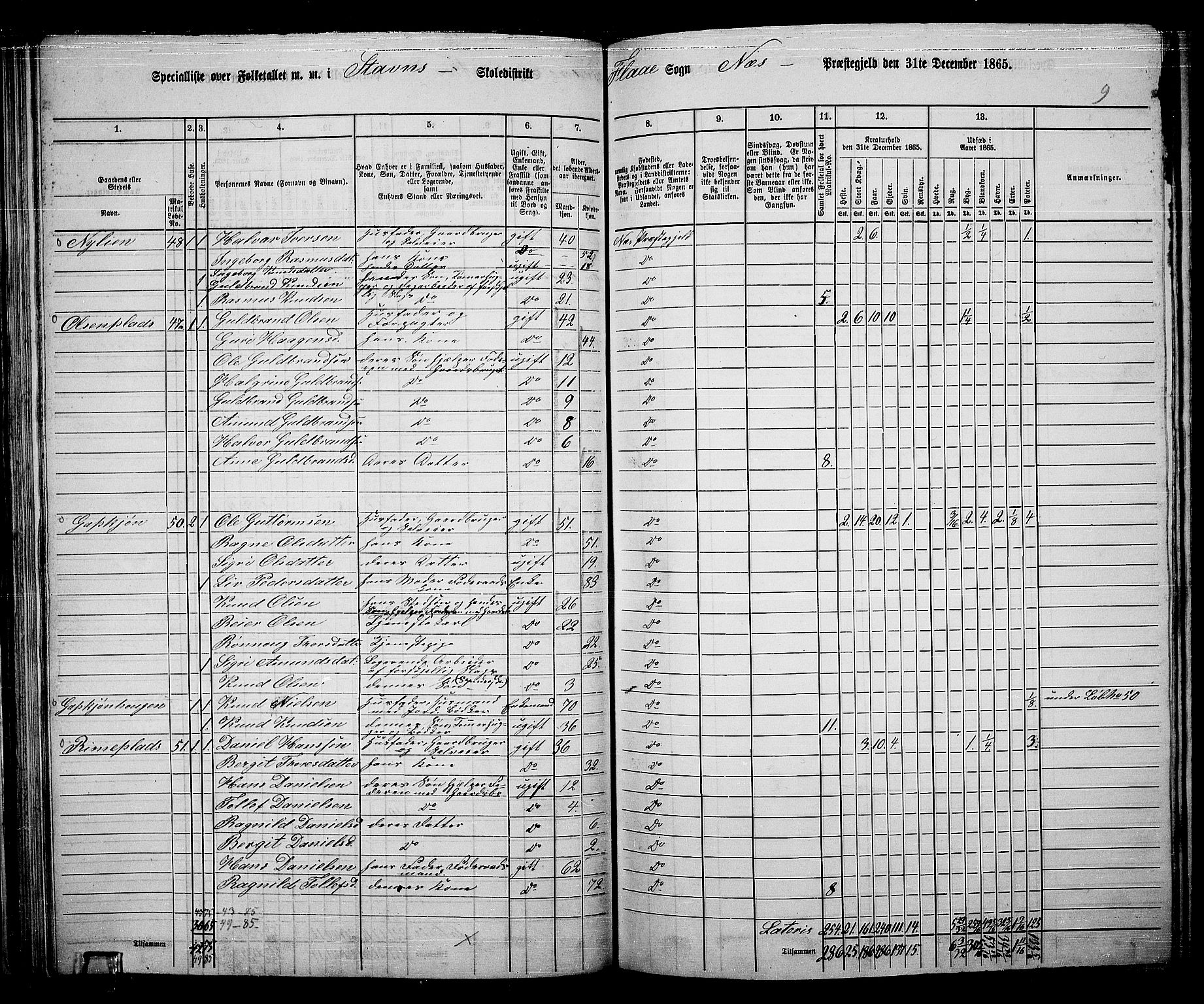 RA, 1865 census for Nes, 1865, p. 75