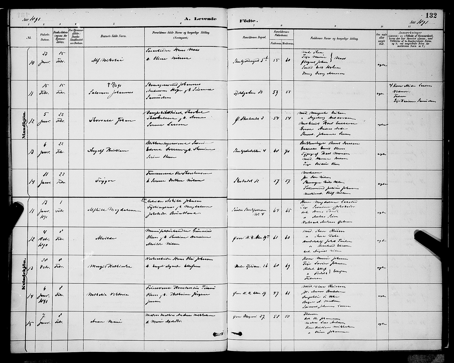 Korskirken sokneprestembete, AV/SAB-A-76101/H/Hab: Parish register (copy) no. B 9, 1887-1896, p. 132