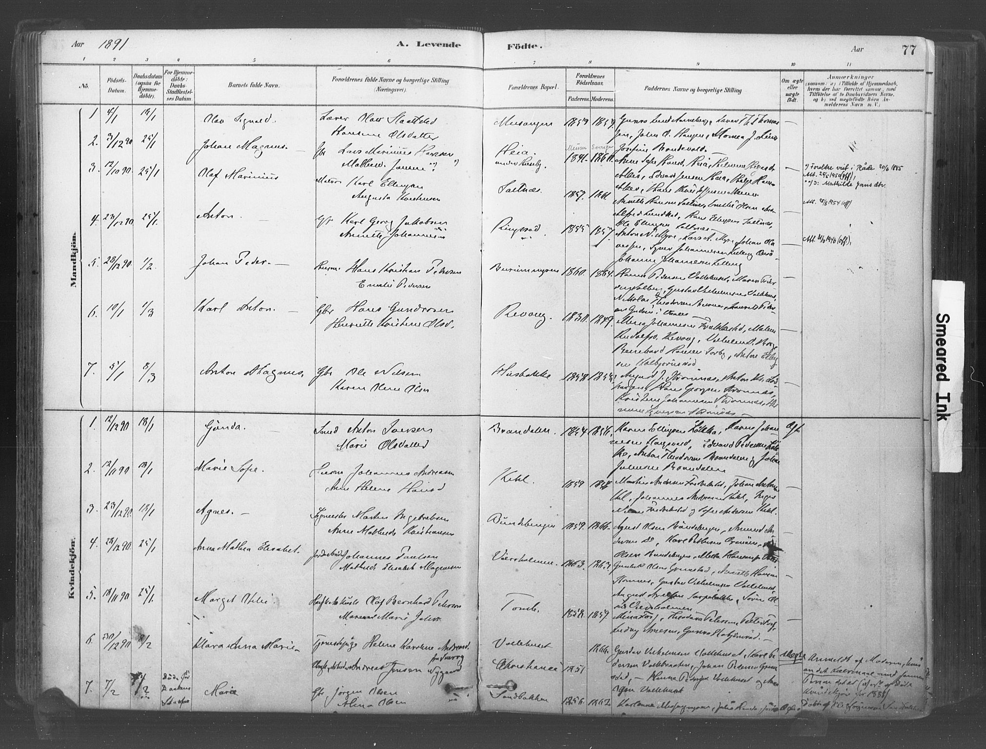 Råde prestekontor kirkebøker, AV/SAO-A-2009/F/Fa/L0007: Parish register (official) no. 7, 1878-1902, p. 77