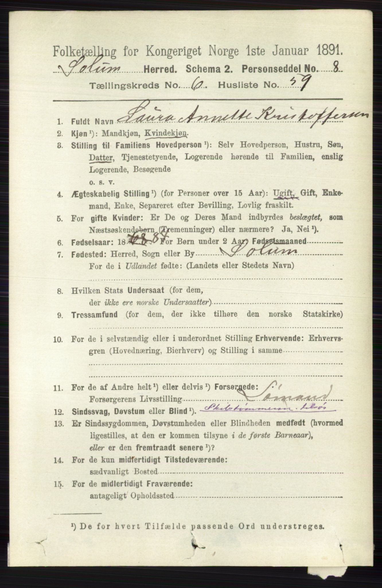 RA, 1891 census for 0818 Solum, 1891, p. 1529