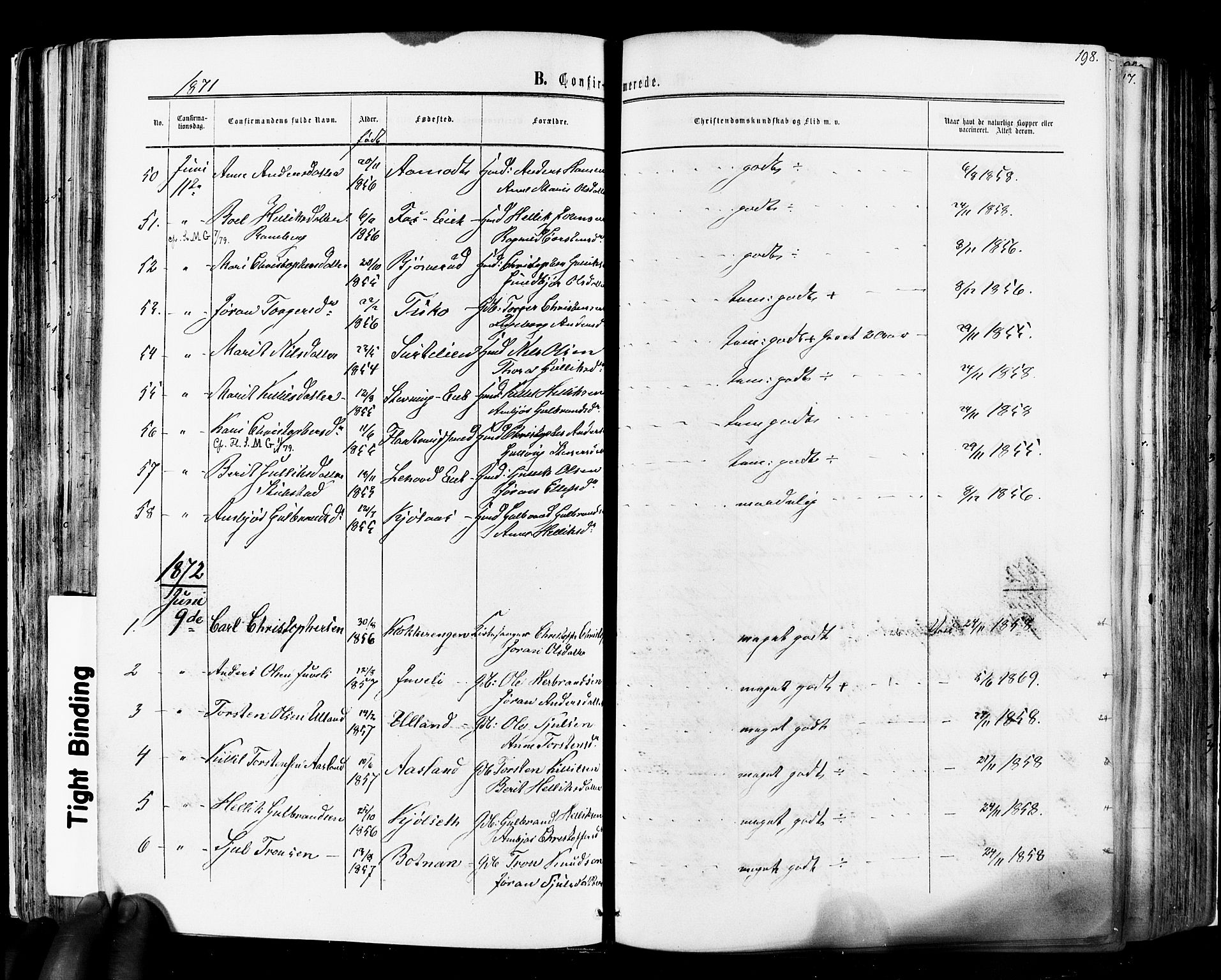 Flesberg kirkebøker, SAKO/A-18/F/Fa/L0007: Parish register (official) no. I 7, 1861-1878, p. 198