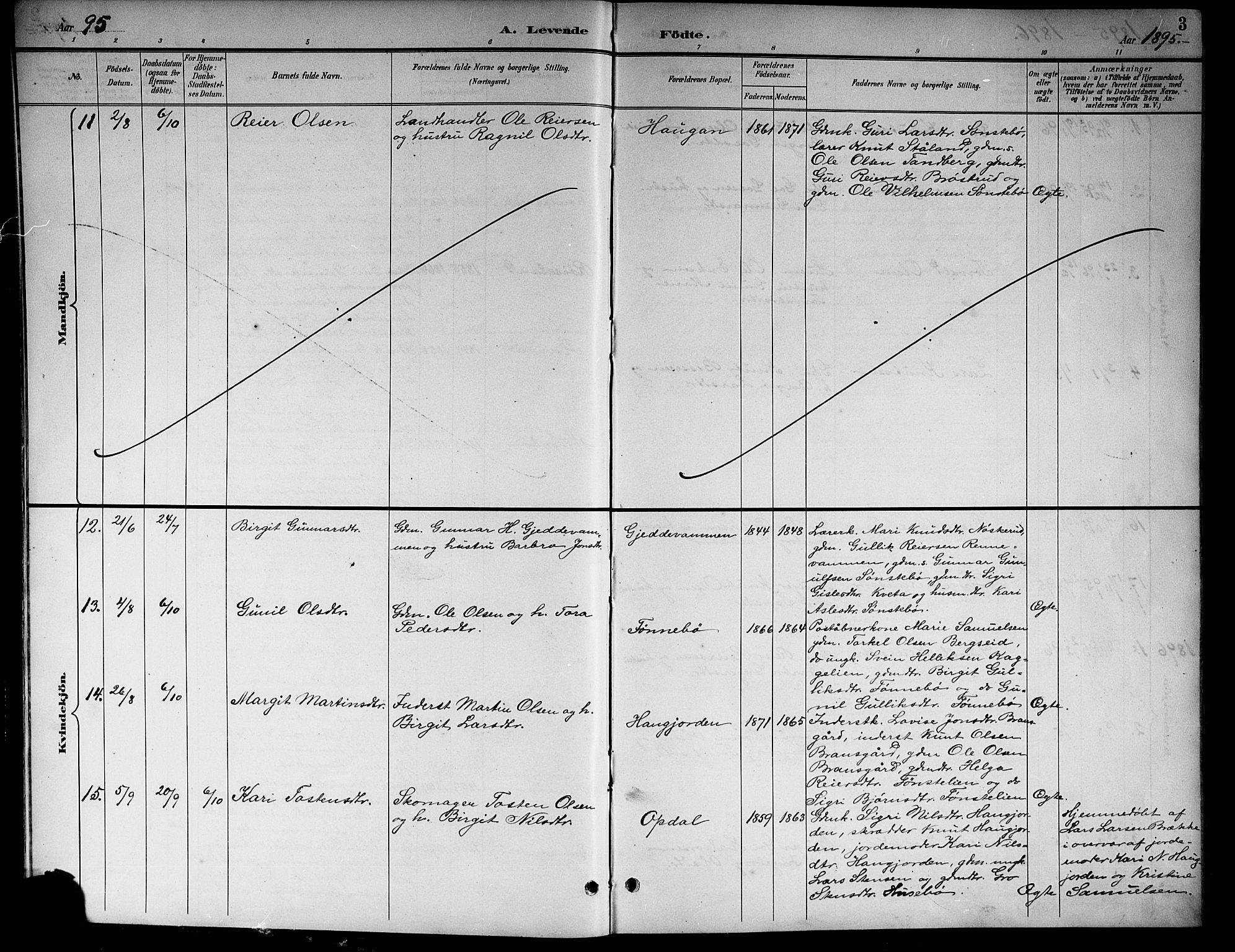 Nore kirkebøker, AV/SAKO-A-238/G/Gb/L0003: Parish register (copy) no. II 3, 1894-1923, p. 3