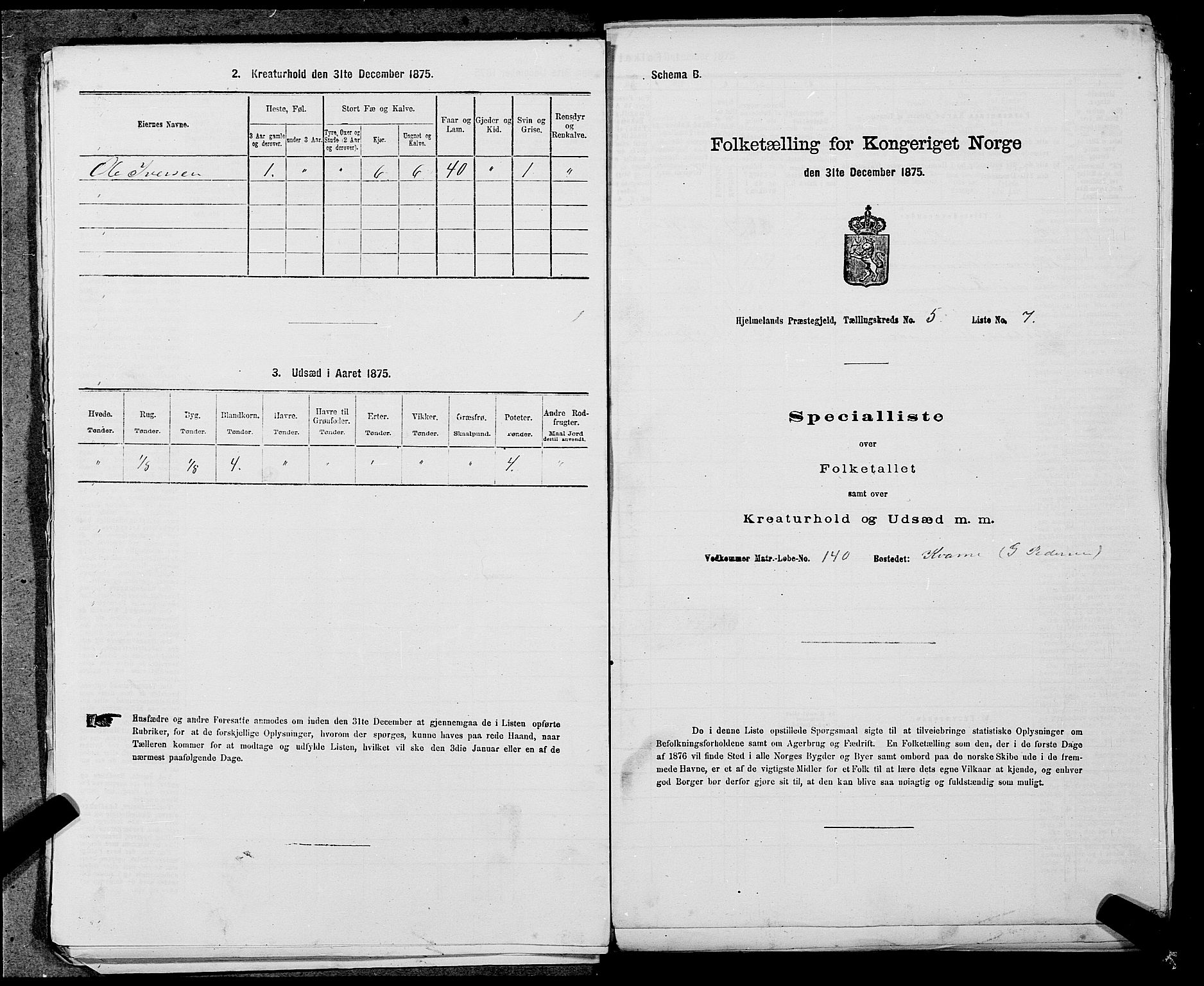 SAST, 1875 census for 1133P Hjelmeland, 1875, p. 589