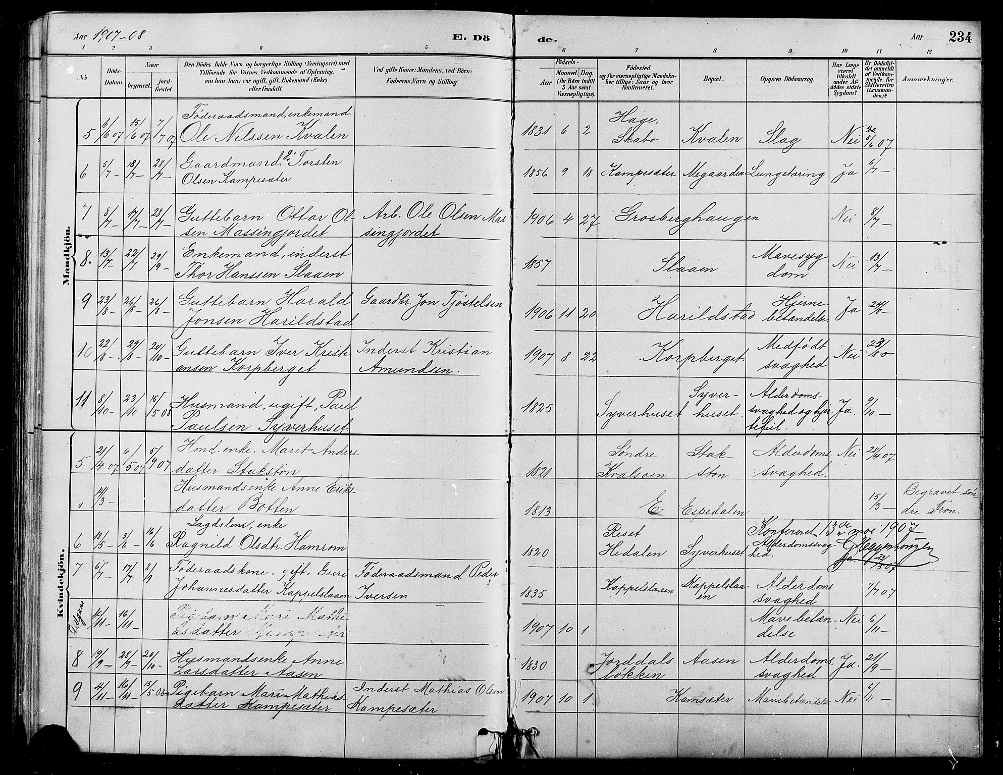 Nord-Fron prestekontor, SAH/PREST-080/H/Ha/Hab/L0005: Parish register (copy) no. 5, 1884-1914, p. 234