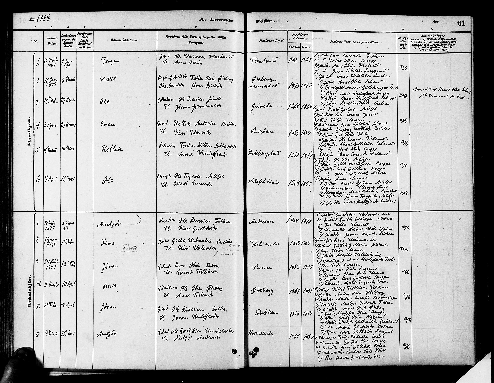 Flesberg kirkebøker, SAKO/A-18/F/Fa/L0008: Parish register (official) no. I 8, 1879-1899, p. 61