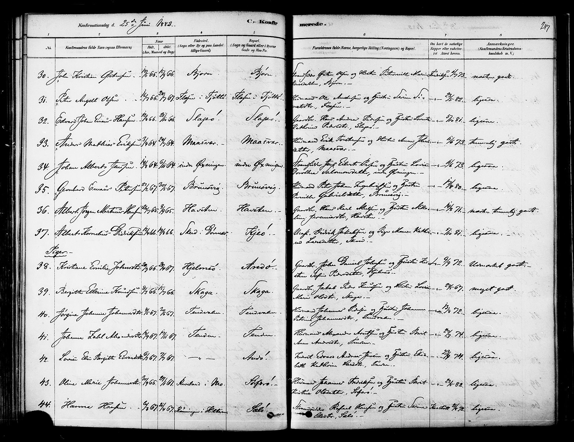 Ministerialprotokoller, klokkerbøker og fødselsregistre - Nordland, SAT/A-1459/834/L0507: Parish register (official) no. 834A05, 1878-1892, p. 247