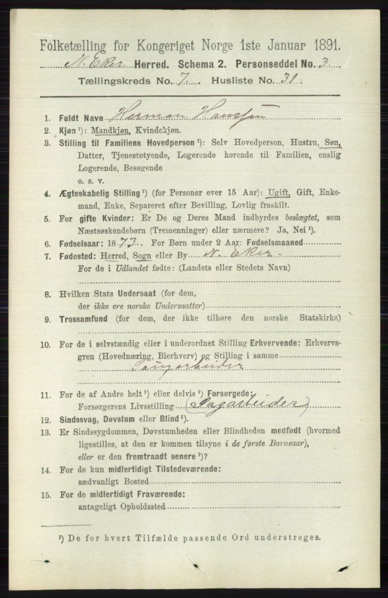RA, 1891 census for 0625 Nedre Eiker, 1891, p. 3591