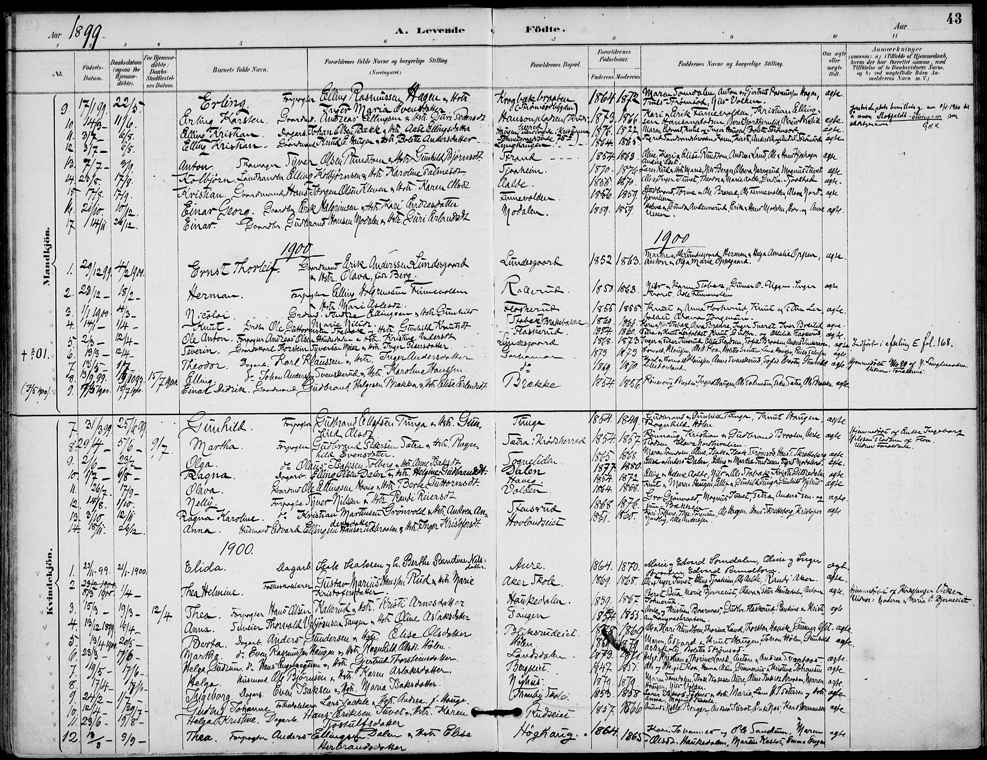Lunder kirkebøker, SAKO/A-629/F/Fa/L0001: Parish register (official) no. I 1, 1885-1912, p. 43