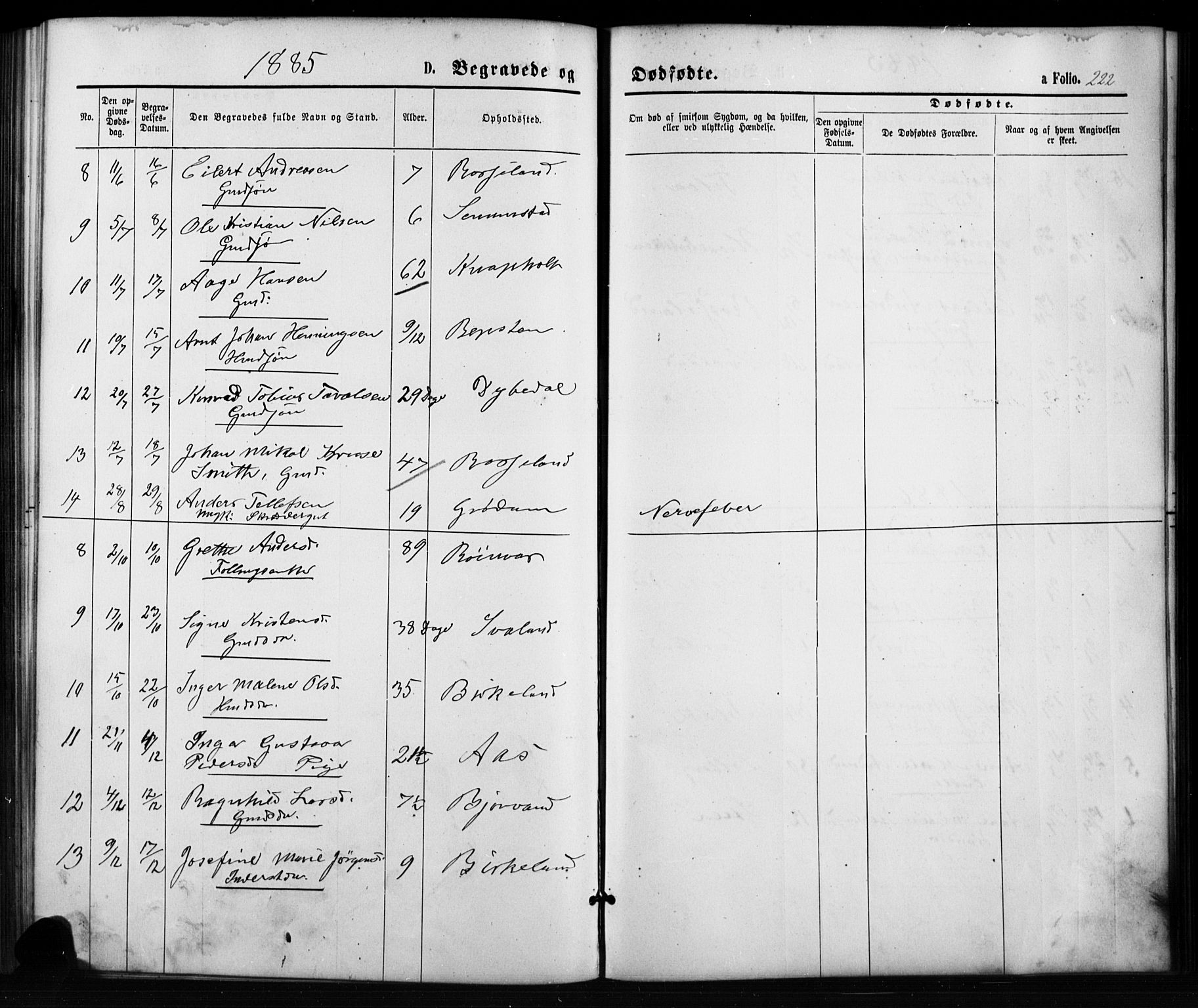 Birkenes sokneprestkontor, SAK/1111-0004/F/Fb/L0003: Parish register (copy) no. B 3, 1876-1892, p. 222