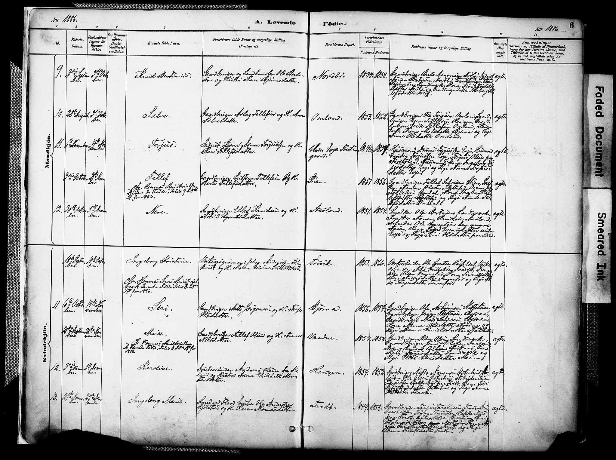 Evje sokneprestkontor, AV/SAK-1111-0008/F/Fa/Faa/L0007: Parish register (official) no. A 7, 1884-1909, p. 6