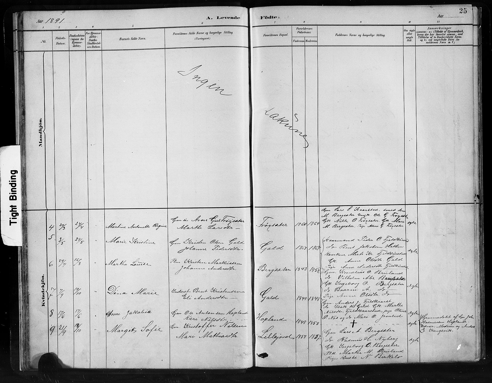 Innvik sokneprestembete, SAB/A-80501: Parish register (copy) no. C 3, 1883-1911, p. 25