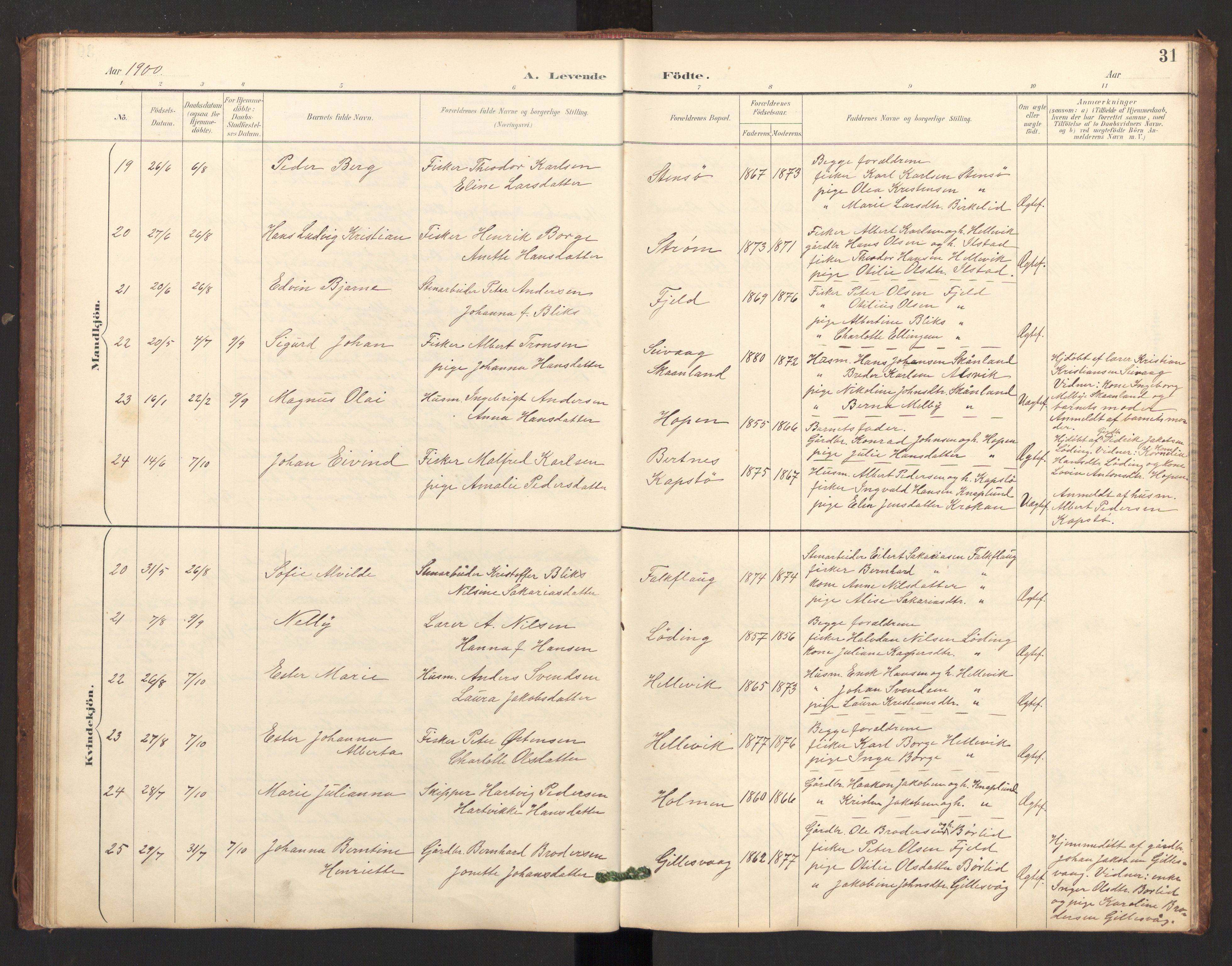 Ministerialprotokoller, klokkerbøker og fødselsregistre - Nordland, AV/SAT-A-1459/804/L0087: Parish register (official) no. 804A08, 1894-1907, p. 31