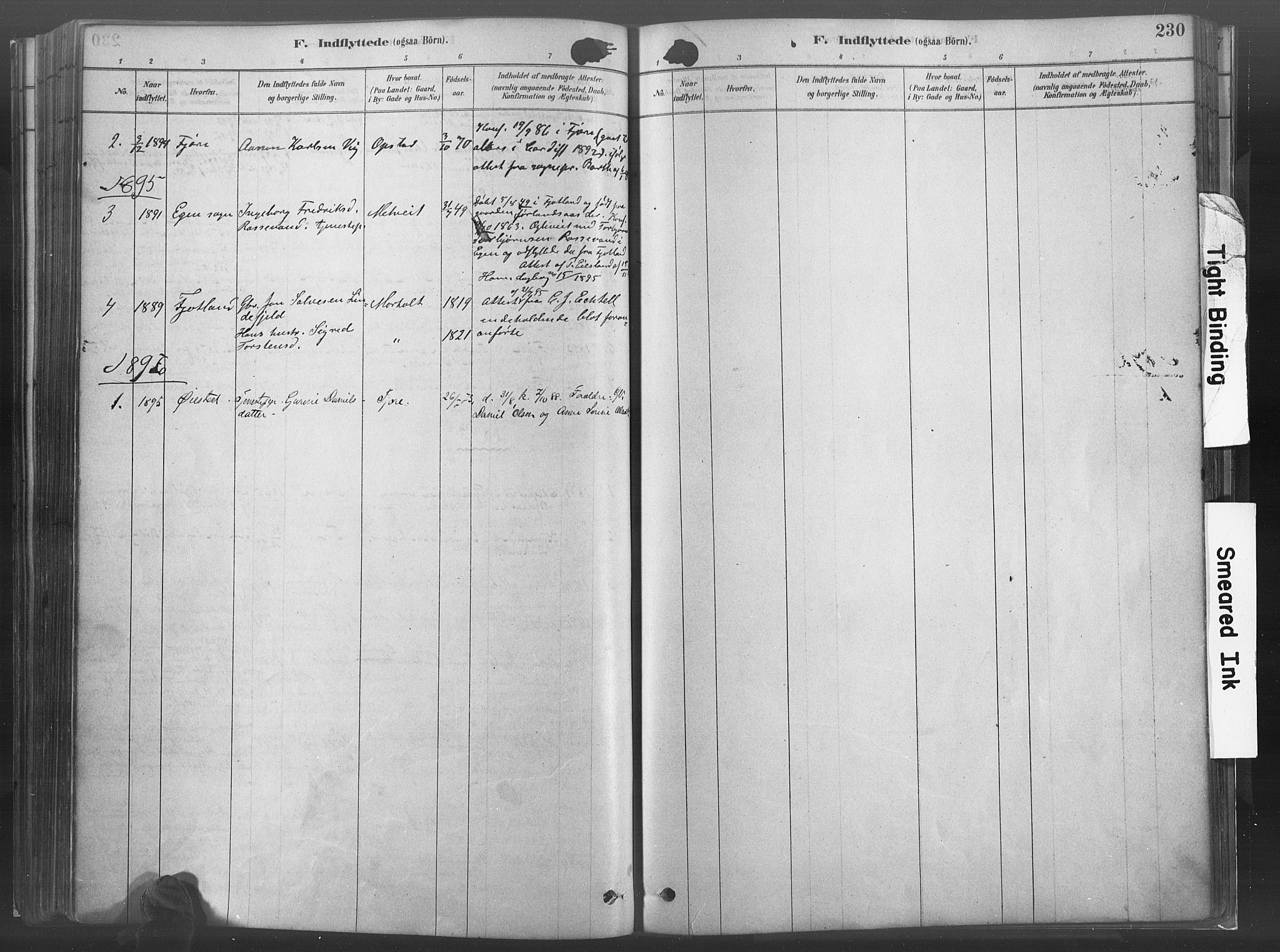 Hommedal sokneprestkontor, AV/SAK-1111-0023/F/Fa/Fab/L0006: Parish register (official) no. A 6, 1878-1897, p. 230