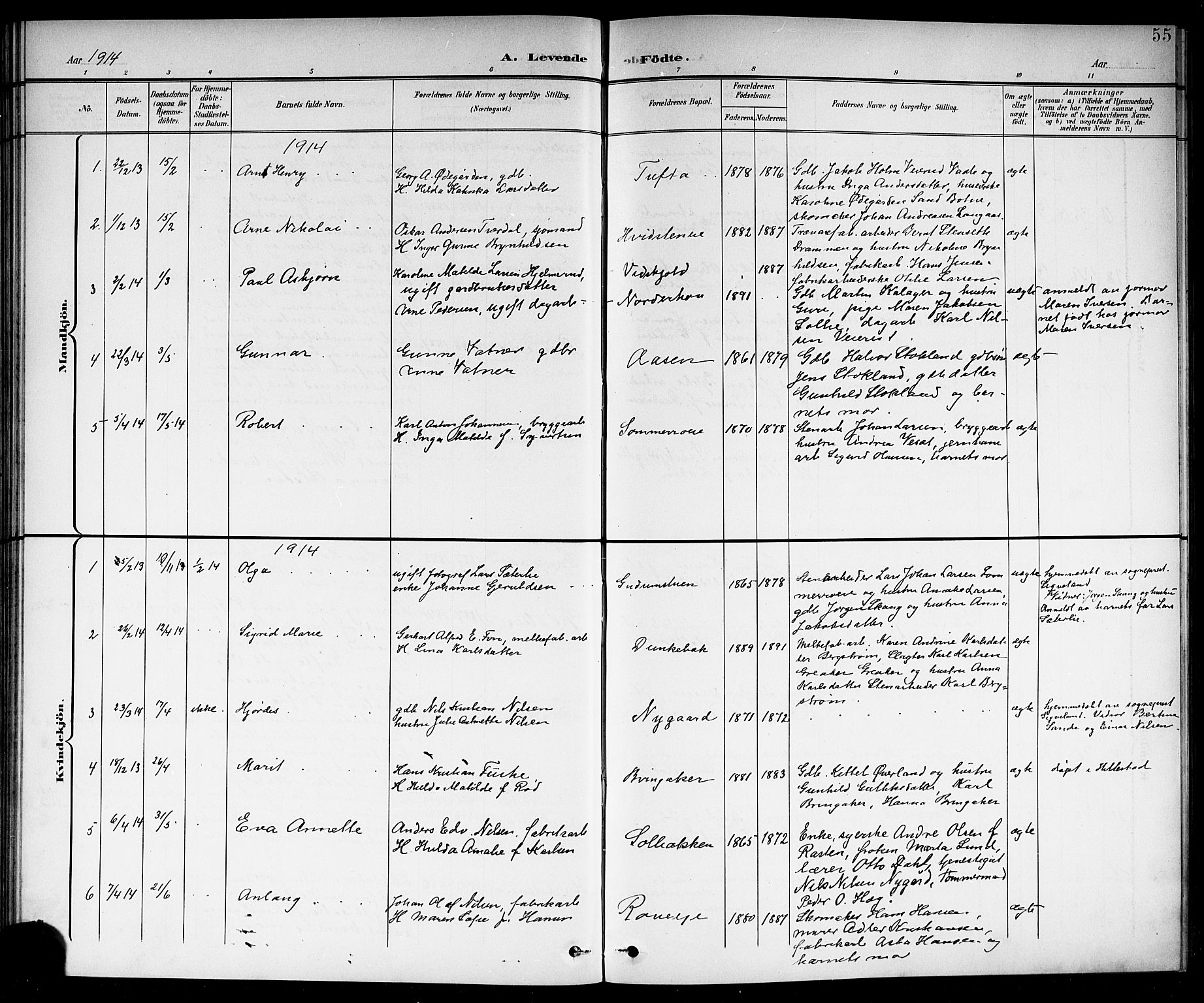 Botne kirkebøker, AV/SAKO-A-340/G/Ga/L0004: Parish register (copy) no. I 4, 1899-1915, p. 55