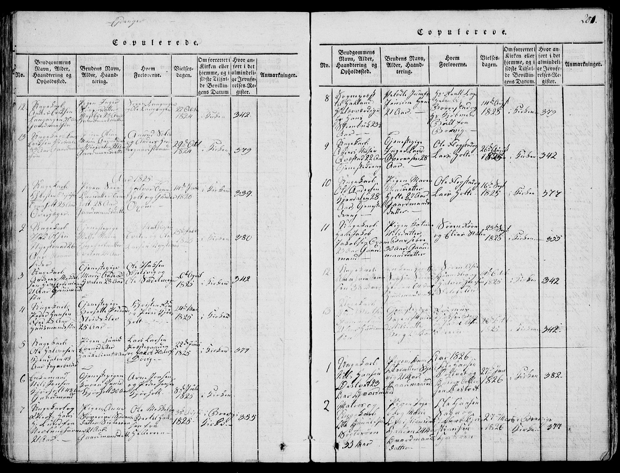 Eidanger kirkebøker, SAKO/A-261/F/Fa/L0007: Parish register (official) no. 7, 1814-1831, p. 201
