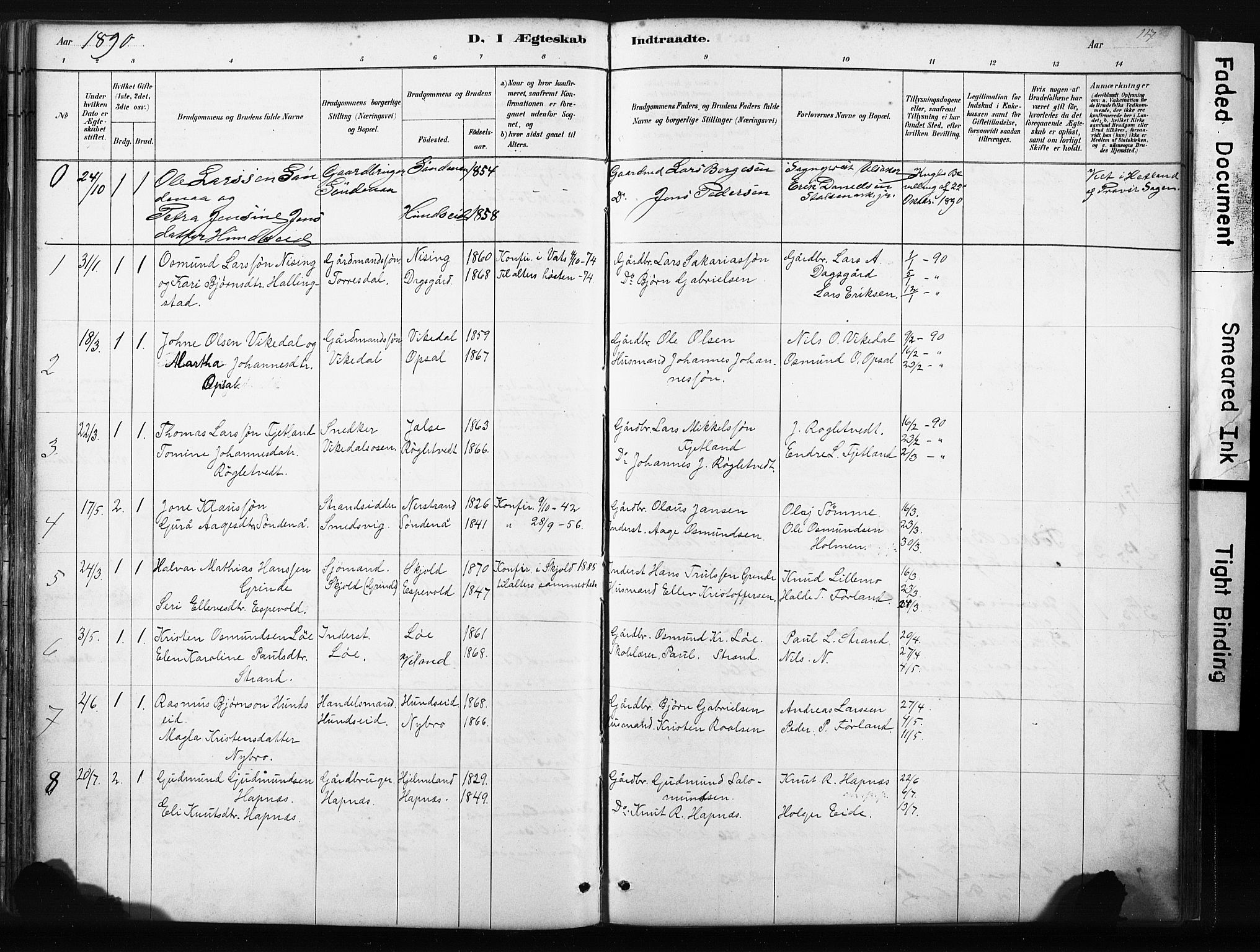 Vikedal sokneprestkontor, SAST/A-101840/01/IV: Parish register (official) no. A 10, 1884-1907, p. 117