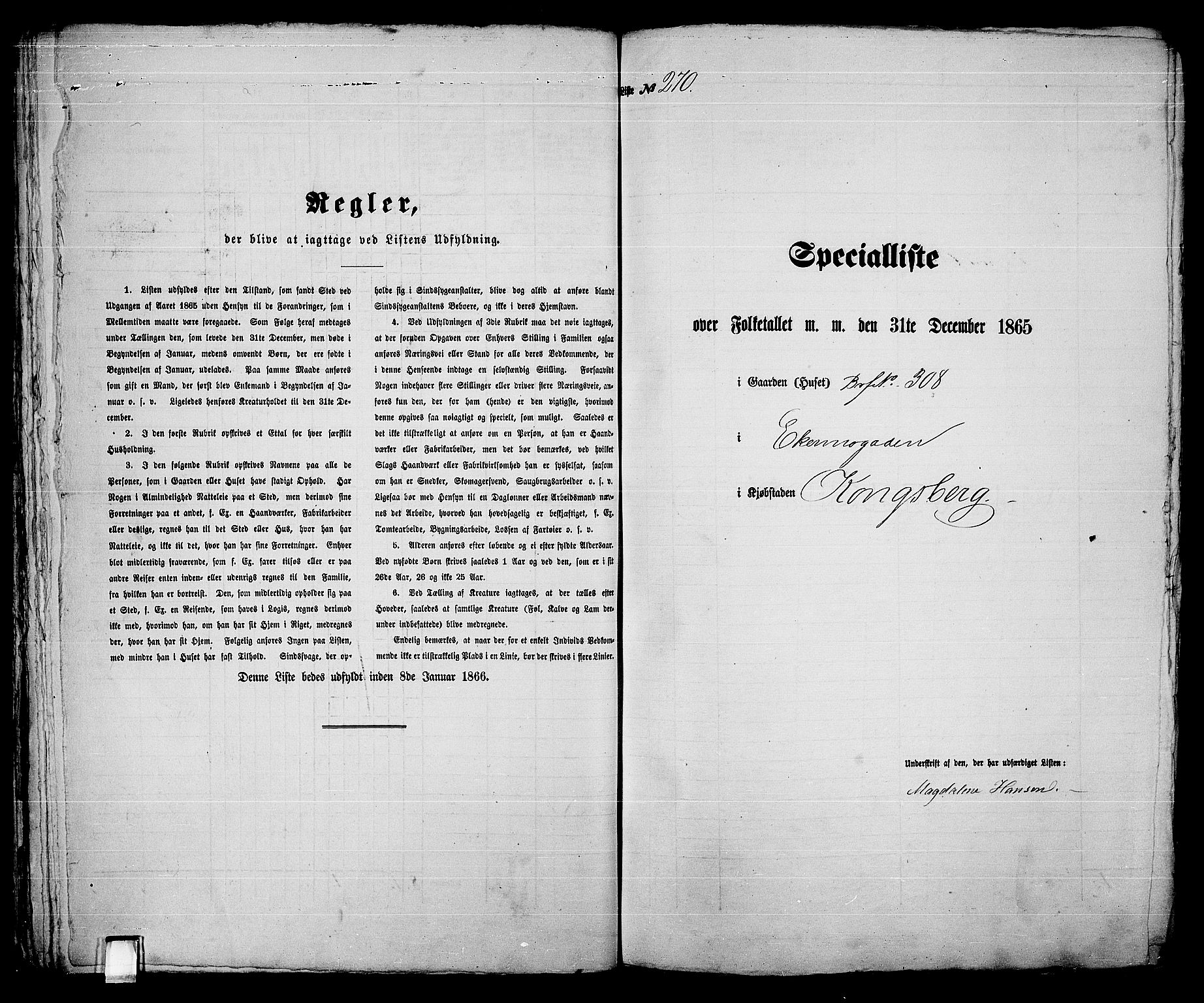 RA, 1865 census for Kongsberg/Kongsberg, 1865, p. 560