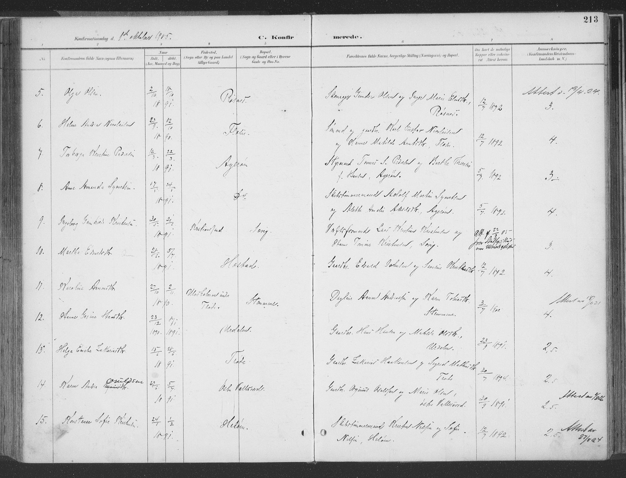 Høvåg sokneprestkontor, AV/SAK-1111-0025/F/Fa/L0006: Parish register (official) no. A 6, 1894-1923, p. 213