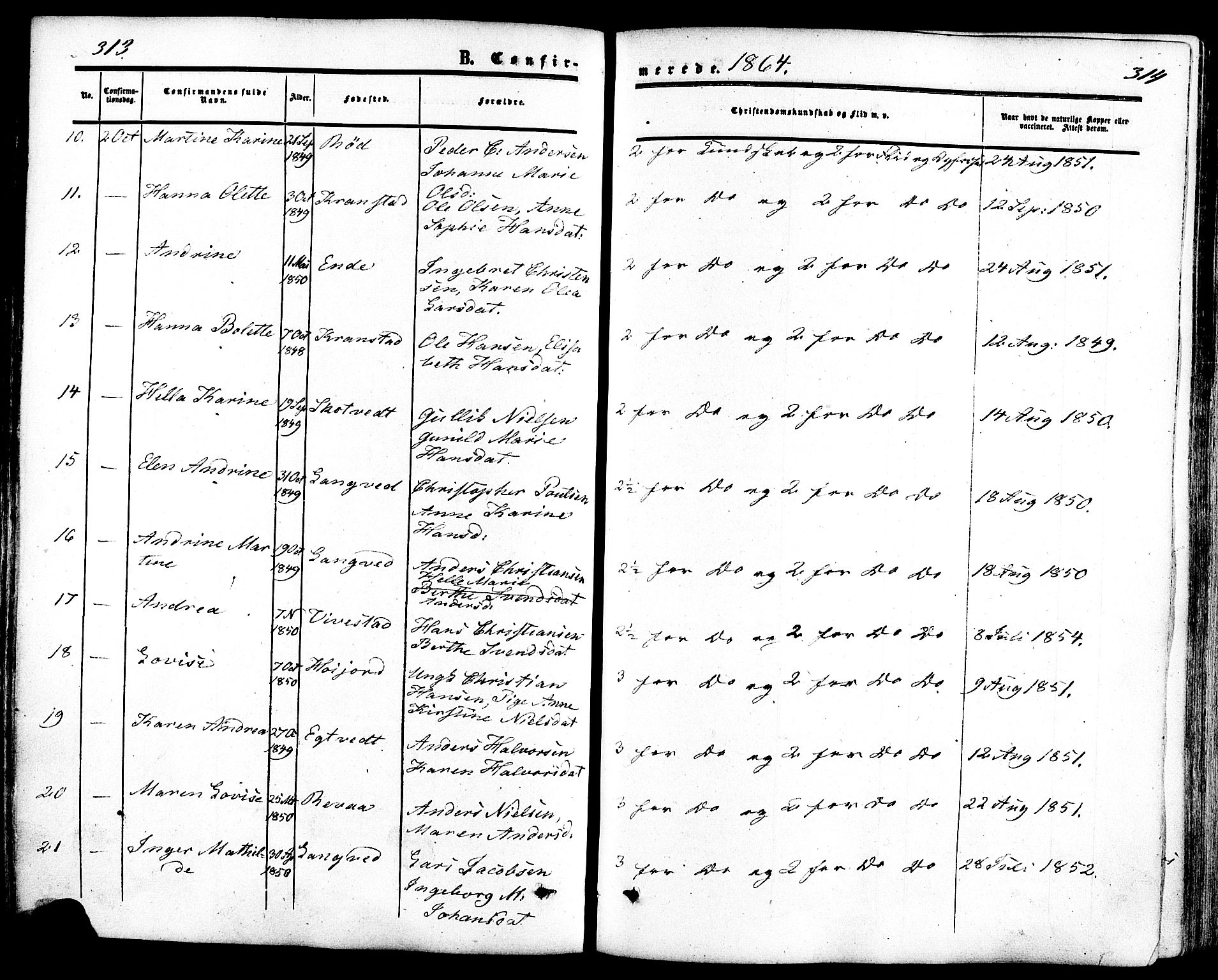 Ramnes kirkebøker, SAKO/A-314/F/Fa/L0006: Parish register (official) no. I 6, 1862-1877, p. 313-314