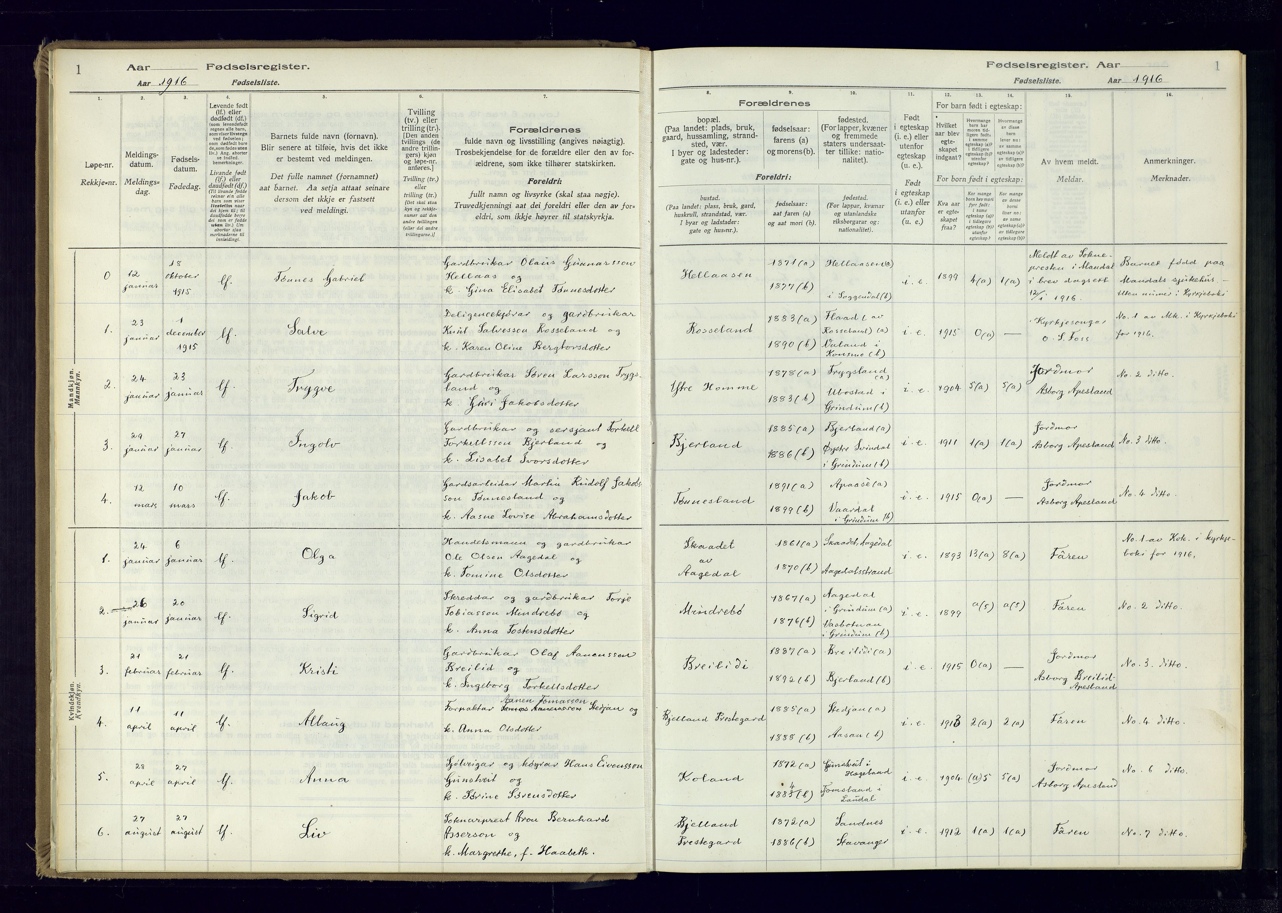 Bjelland sokneprestkontor, SAK/1111-0005/J/Ja/L0001: Birth register no. II.4.2, 1916-1982, p. 1