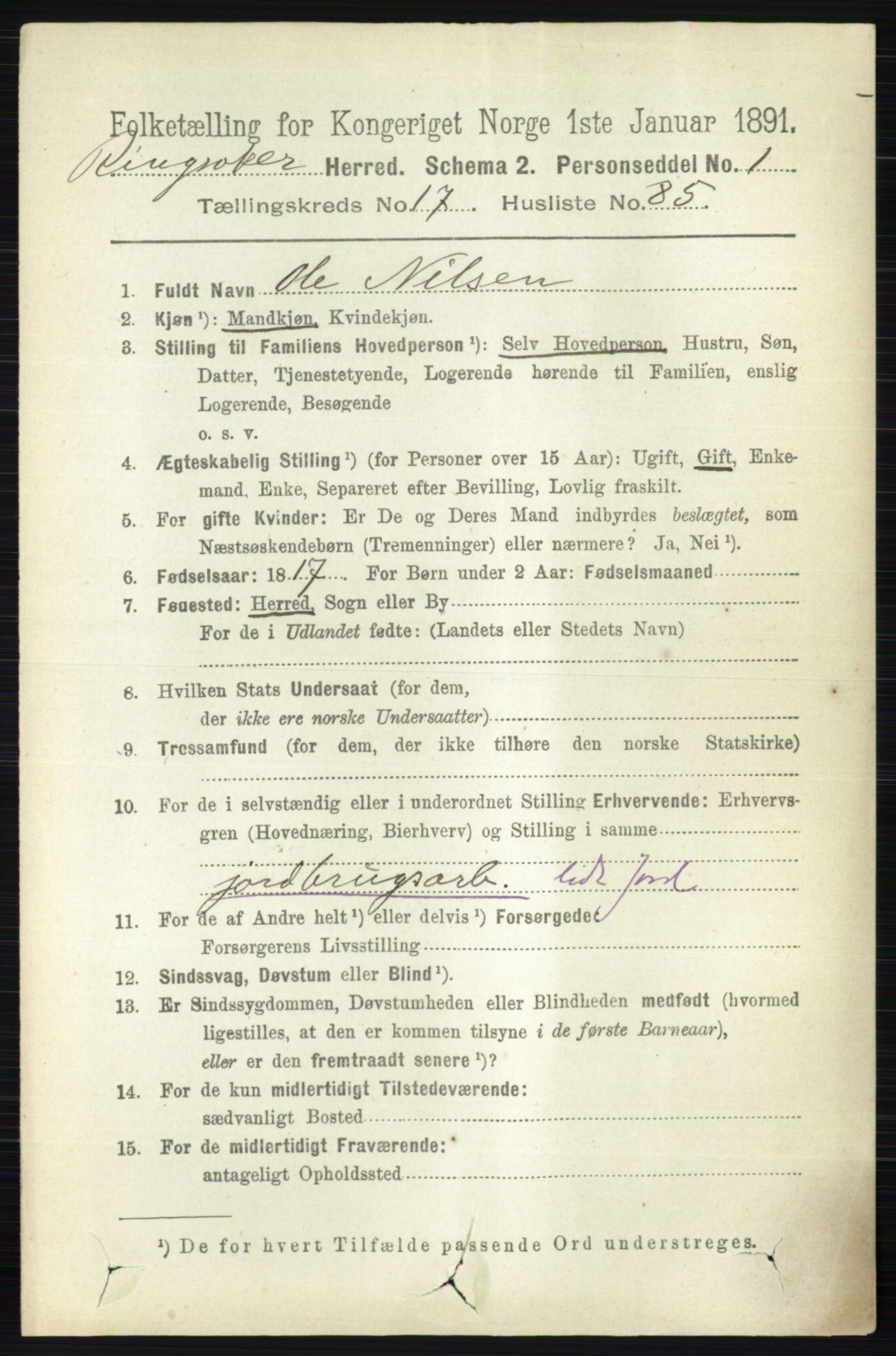 RA, 1891 census for 0412 Ringsaker, 1891, p. 10293