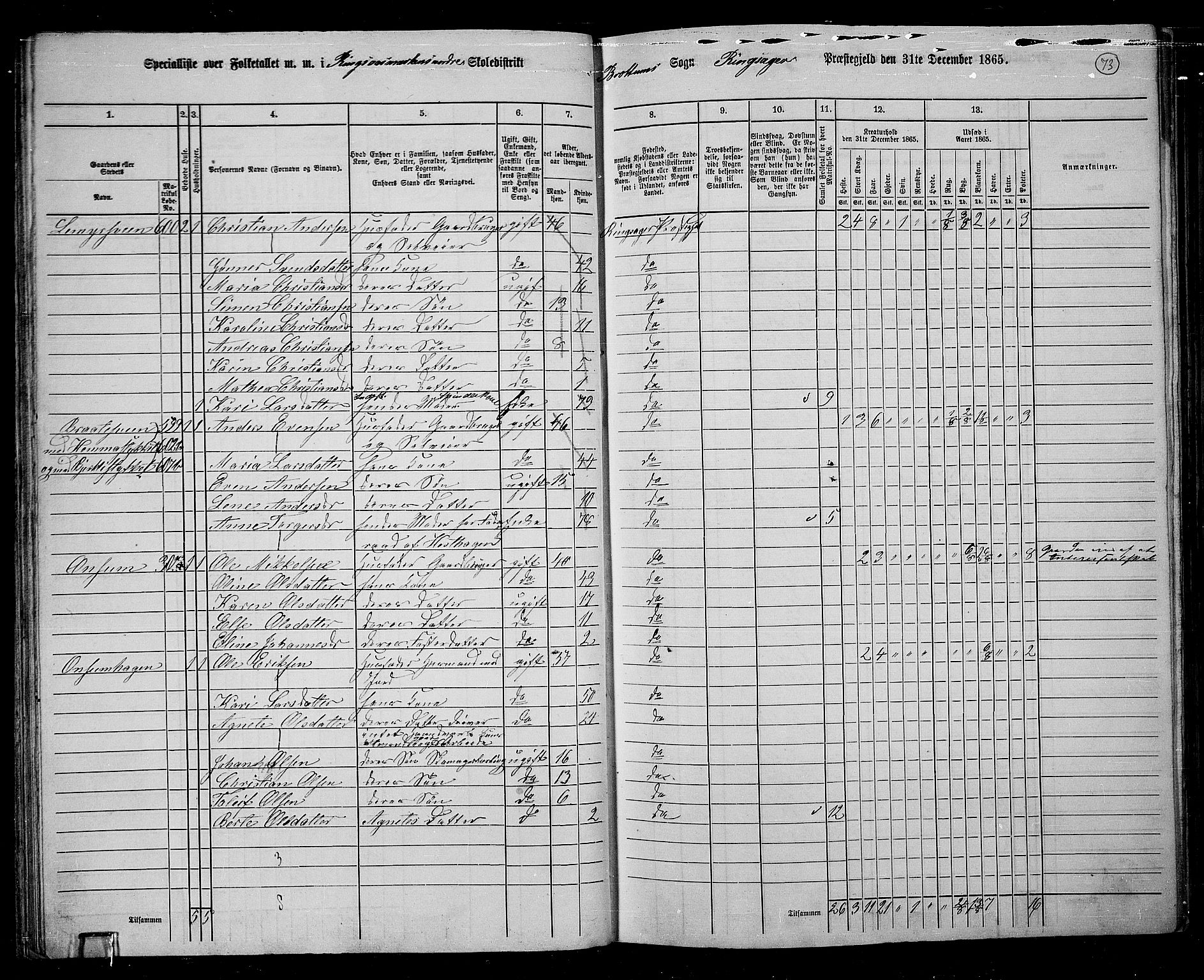 RA, 1865 census for Ringsaker, 1865, p. 325