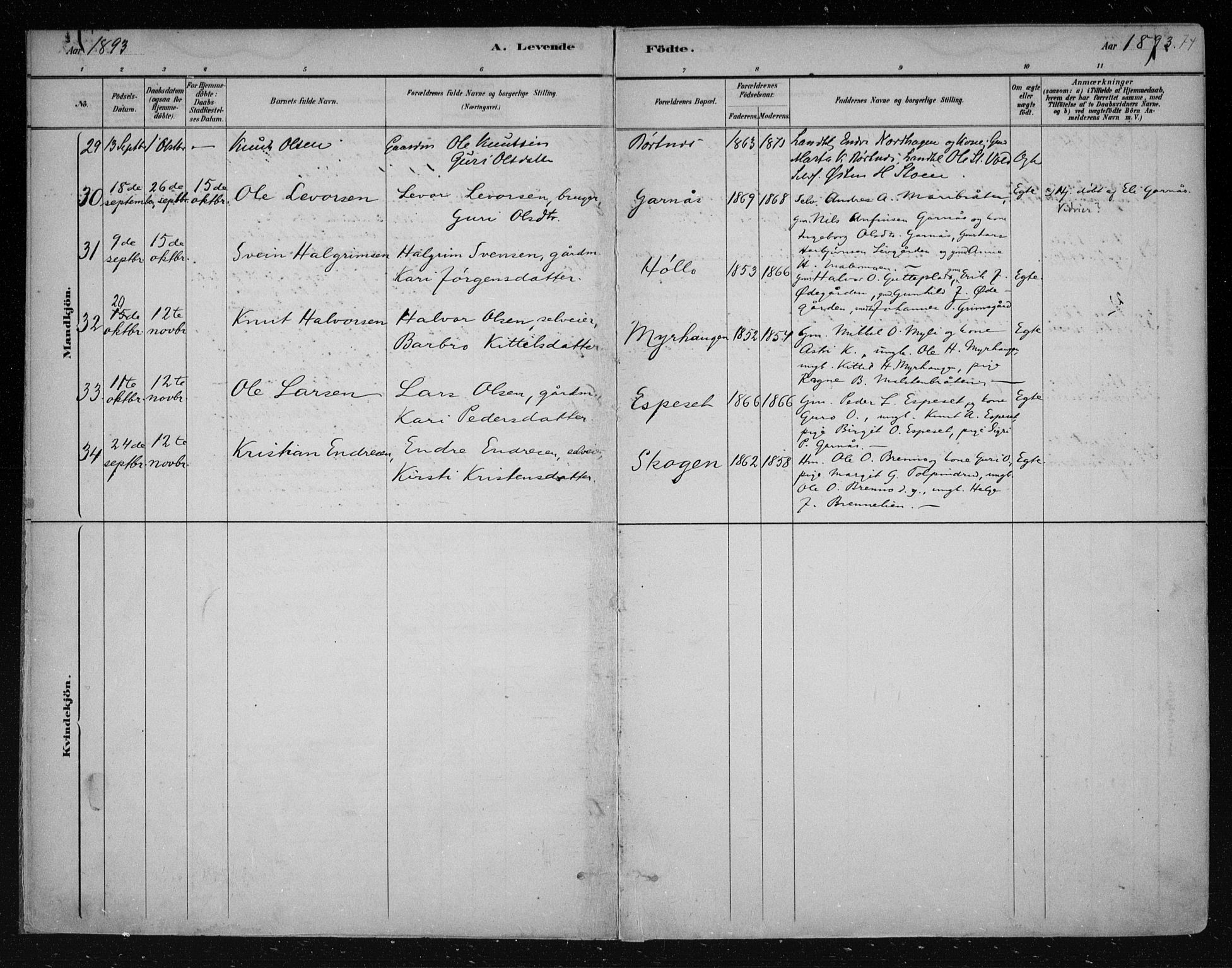 Nes kirkebøker, AV/SAKO-A-236/F/Fa/L0011: Parish register (official) no. 11, 1881-1912, p. 74