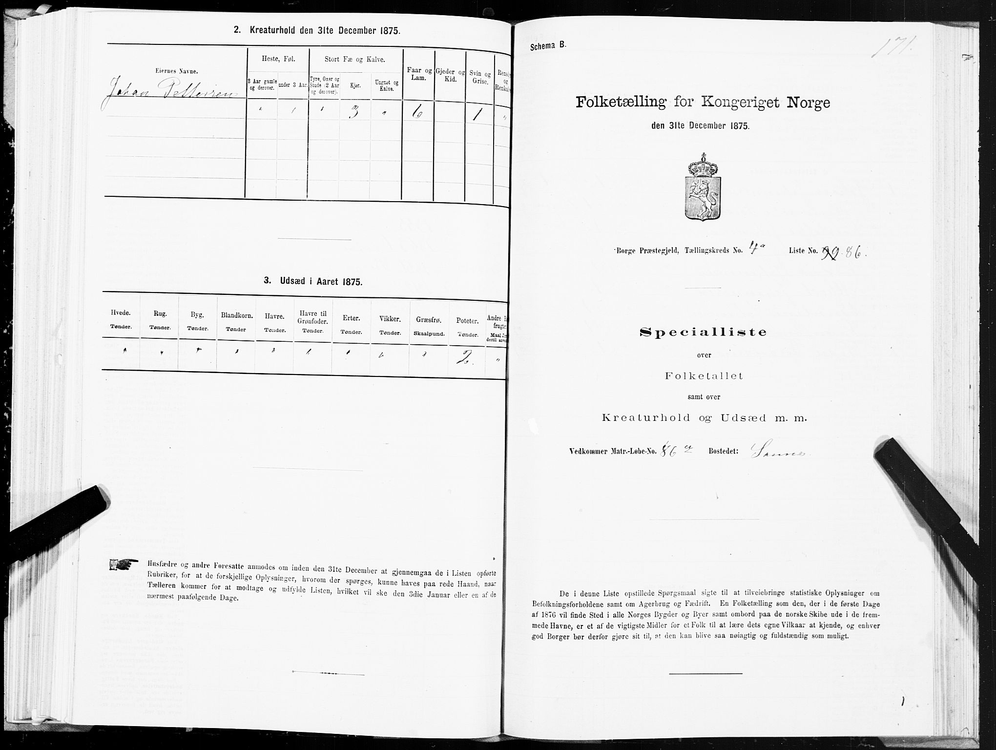 SAT, 1875 census for 1862P Borge, 1875, p. 3171