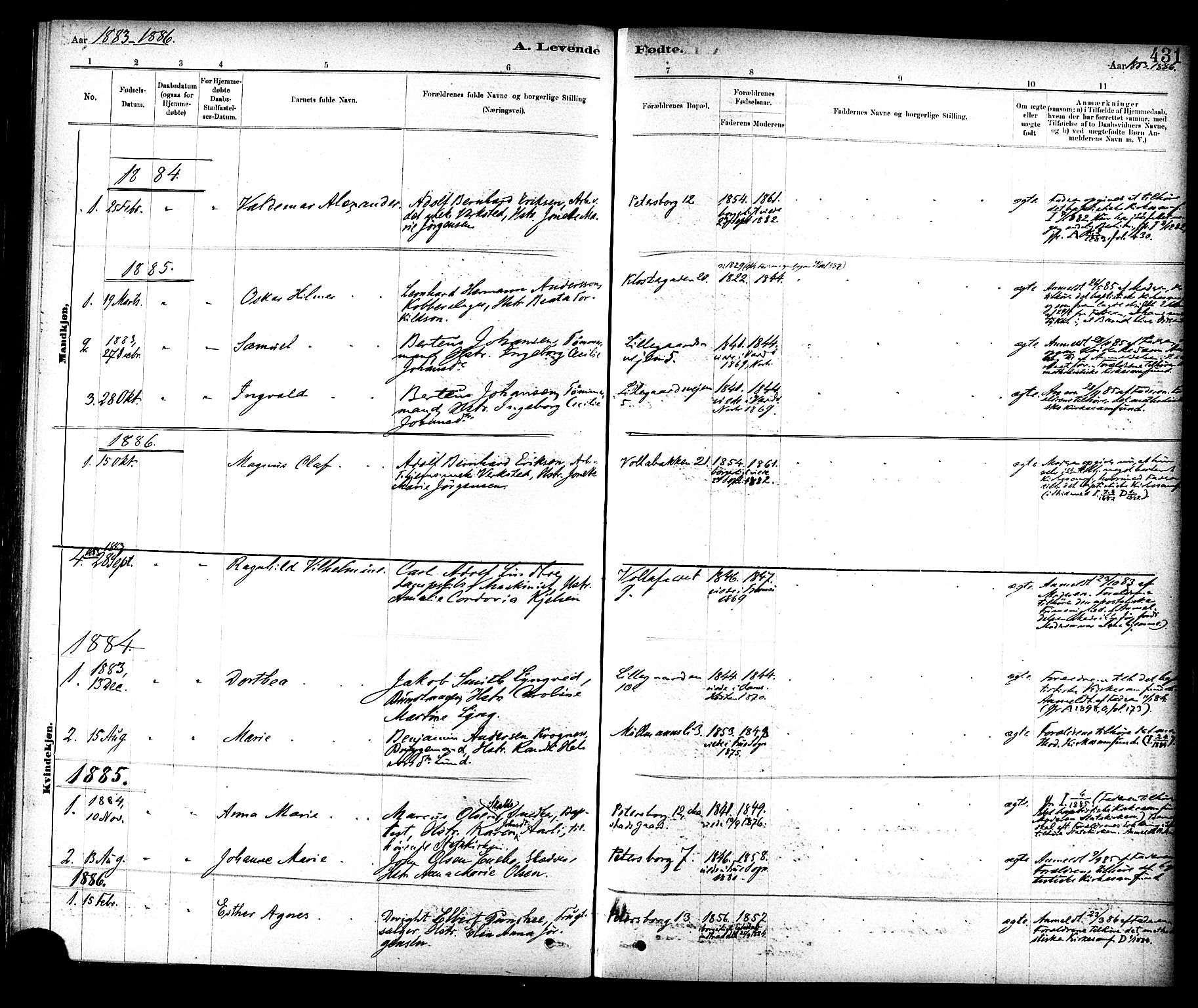 Ministerialprotokoller, klokkerbøker og fødselsregistre - Sør-Trøndelag, SAT/A-1456/604/L0188: Parish register (official) no. 604A09, 1878-1892, p. 431
