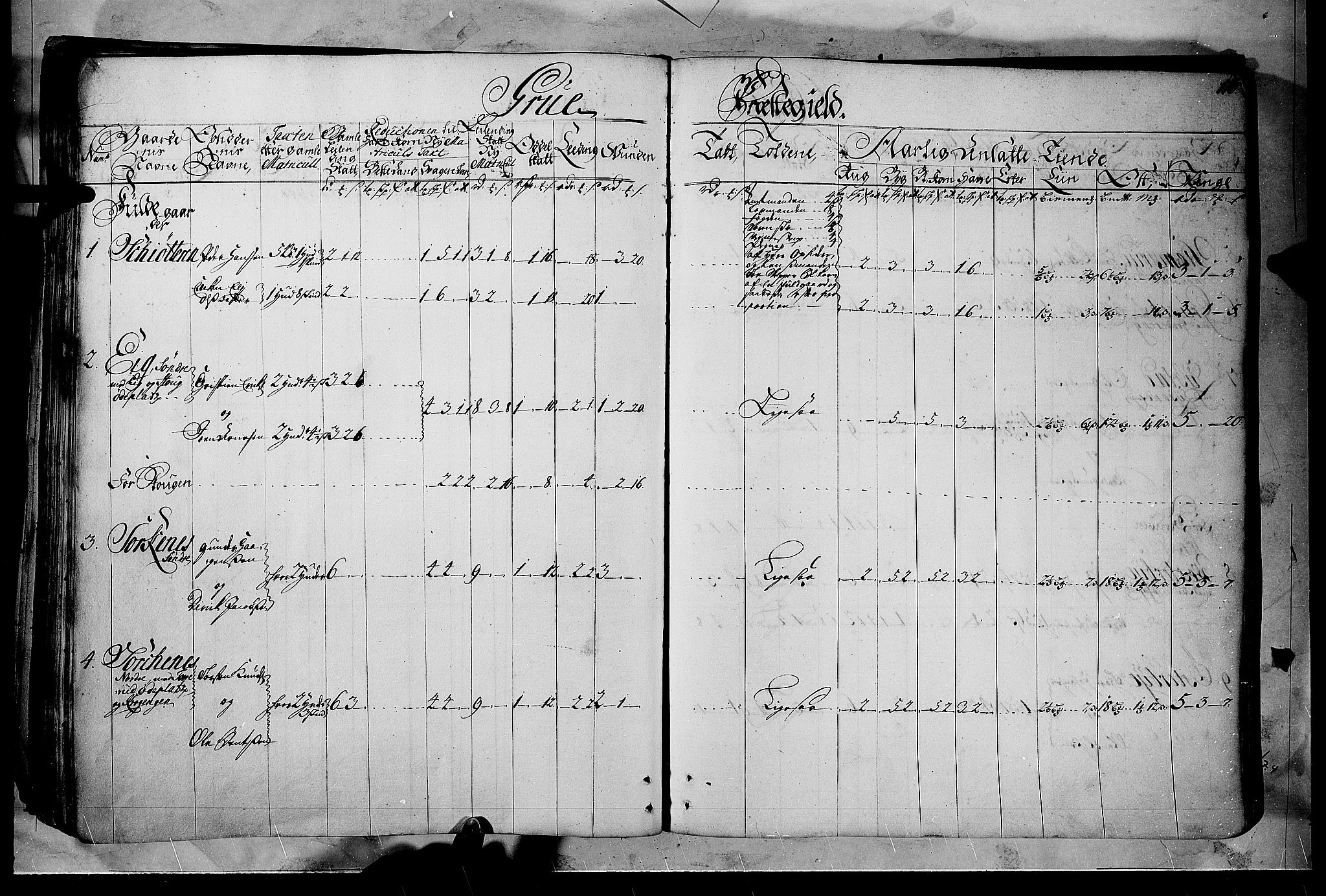 Rentekammeret inntil 1814, Realistisk ordnet avdeling, AV/RA-EA-4070/N/Nb/Nbf/L0102: Solør, Østerdalen og Odal matrikkelprotokoll, 1723, p. 115b-116a