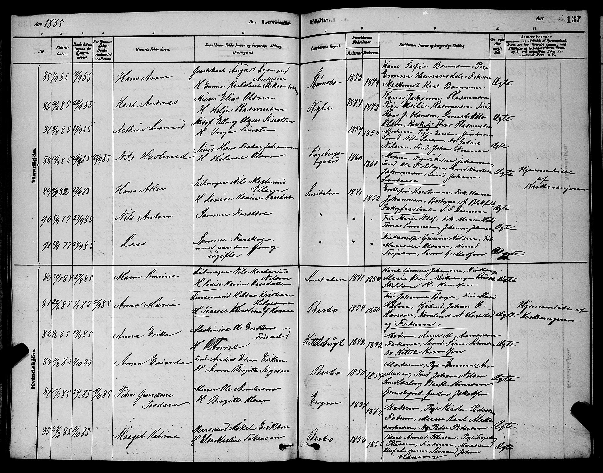 Barbu sokneprestkontor, AV/SAK-1111-0003/F/Fb/L0001: Parish register (copy) no. B 1, 1878-1890, p. 137