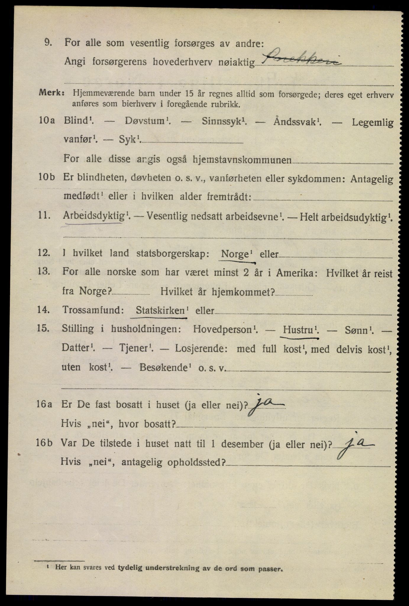 SAKO, 1920 census for Horten, 1920, p. 12068