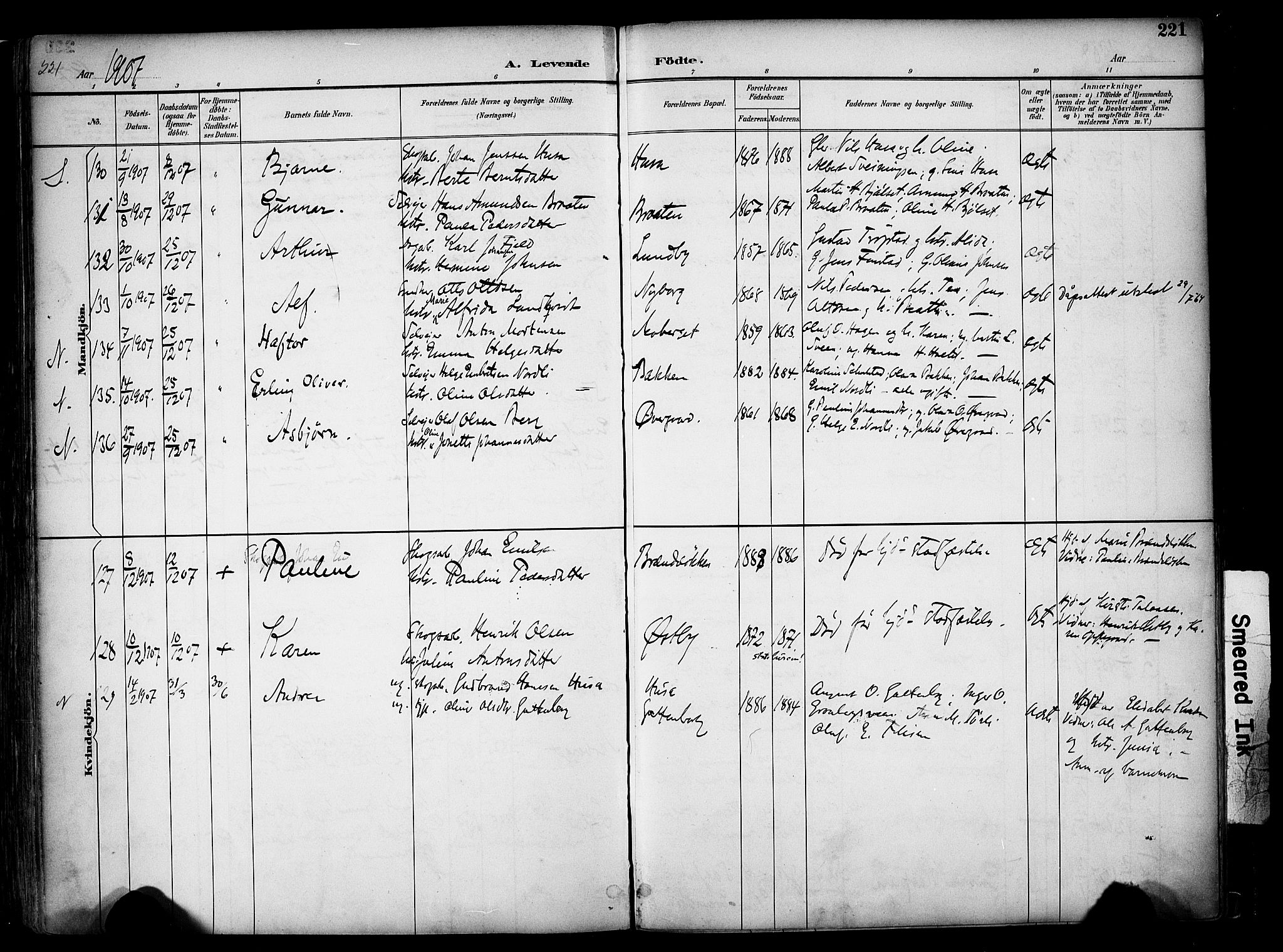 Elverum prestekontor, AV/SAH-PREST-044/H/Ha/Haa/L0014: Parish register (official) no. 14, 1891-1909, p. 221