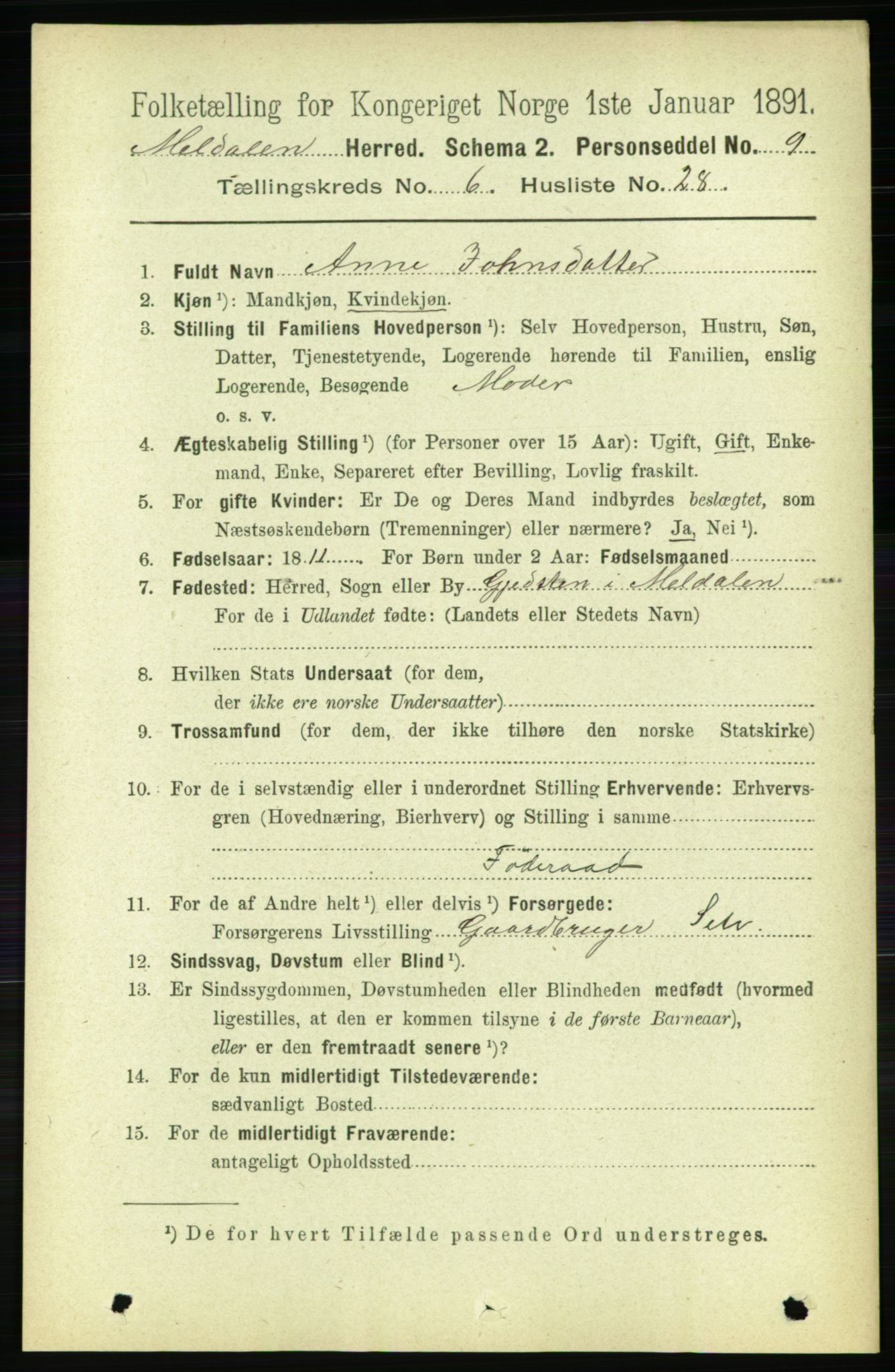 RA, 1891 census for 1636 Meldal, 1891, p. 3041